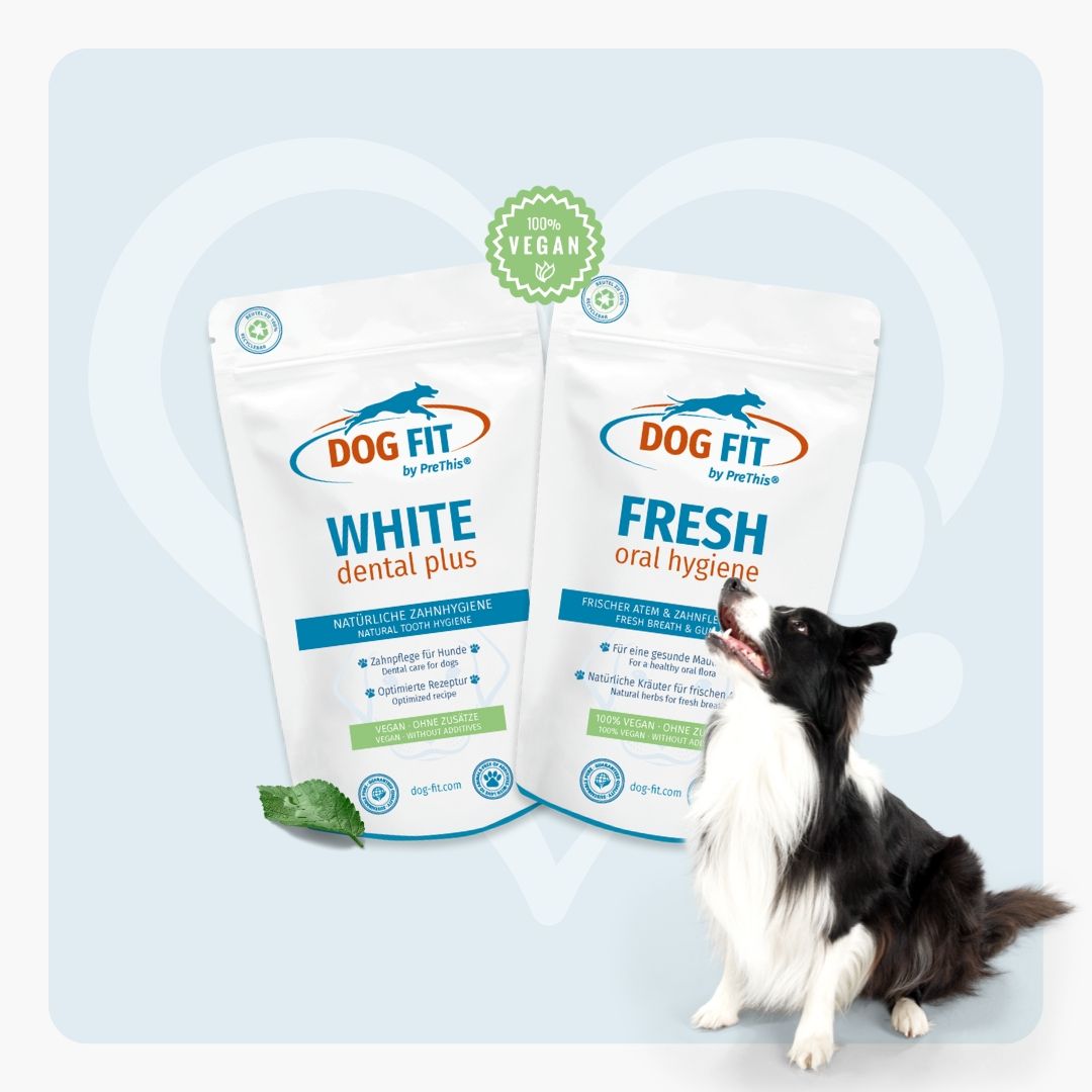 DOG FIT by PreThis® WHITE dental plus & FRESH