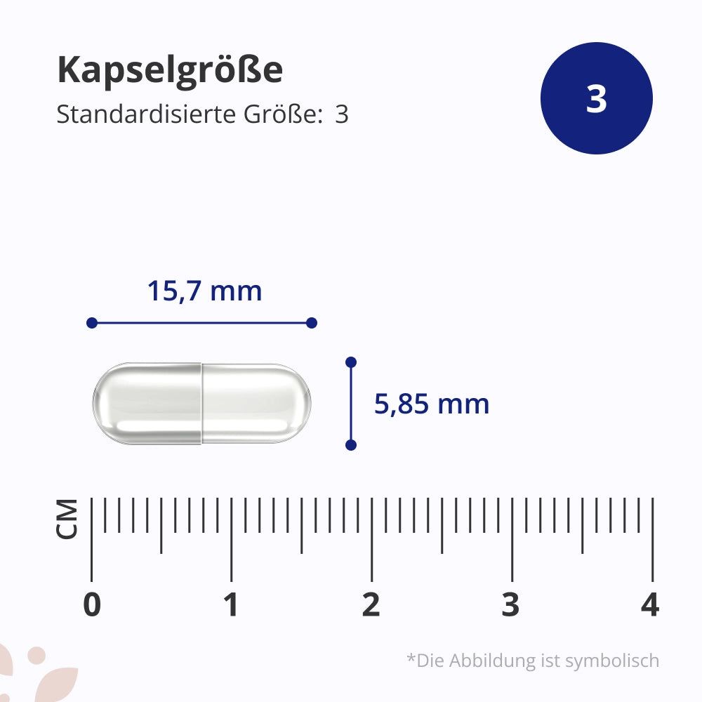 Kapsel mit Maßangaben: 15,7 mm x 5,85 mm. Standardisierte Größe 3. Skala in cm.
