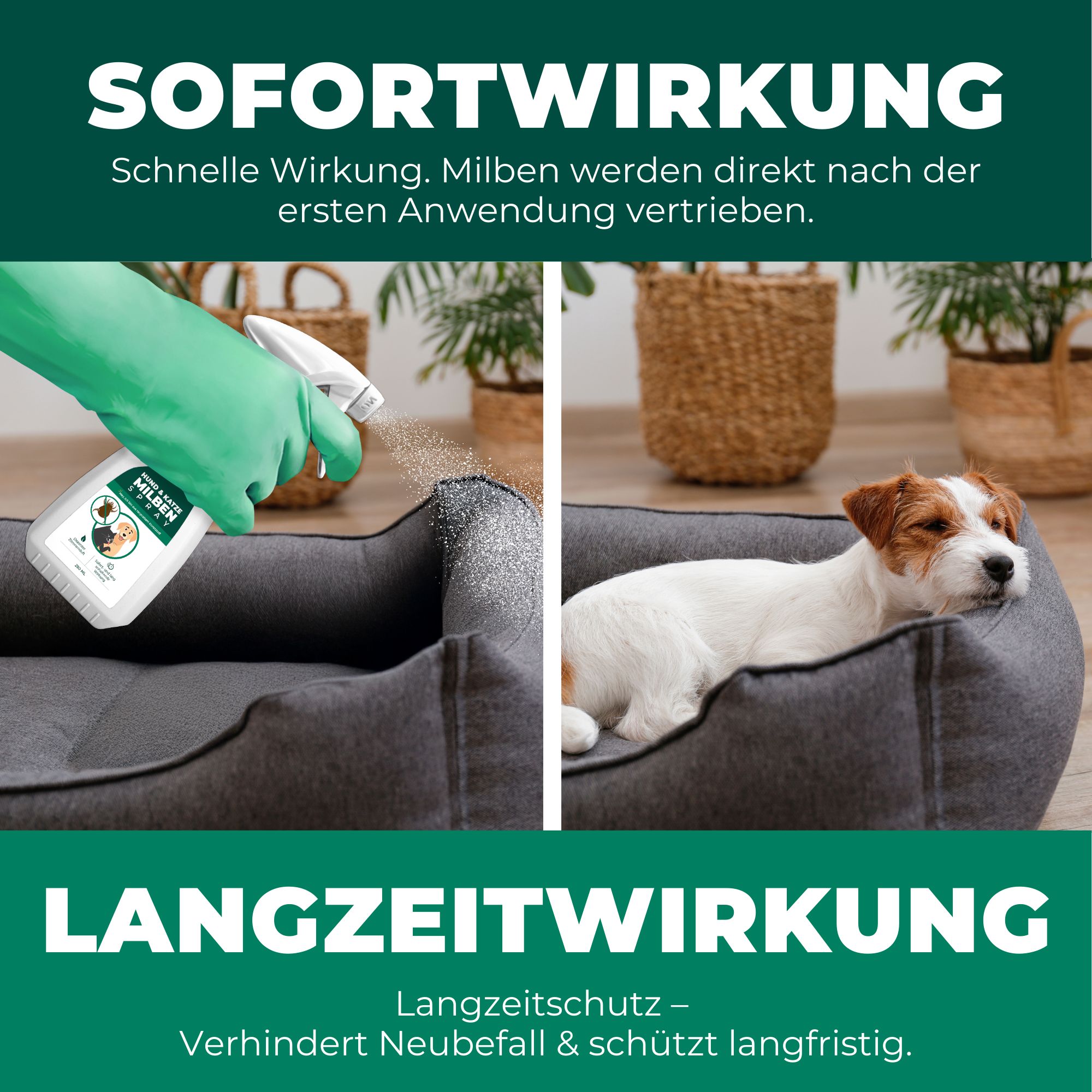 SILBERKRAFT Milbenspray Hunde & Katzen