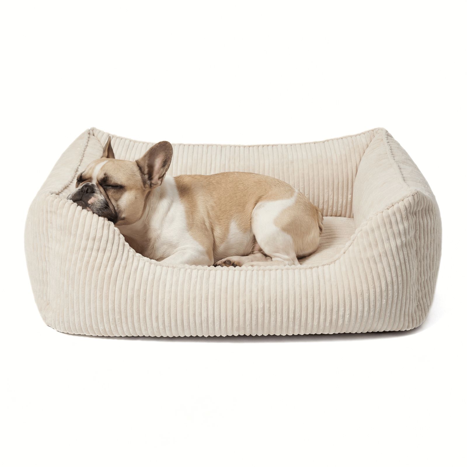 Beiges Hundebett mit Hund. Hund liegt im Bett. Cord-Optik. Rechteckige Form mit erhöhten Seiten.