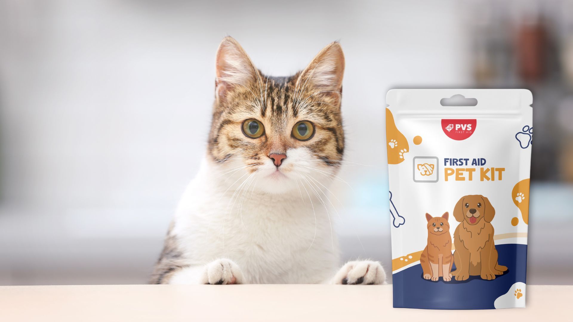 Katze neben PVS Erste-Hilfe-Set für Haustiere. Weiße, platzsparende Tasche mit Hund- und Katzendarstellung.