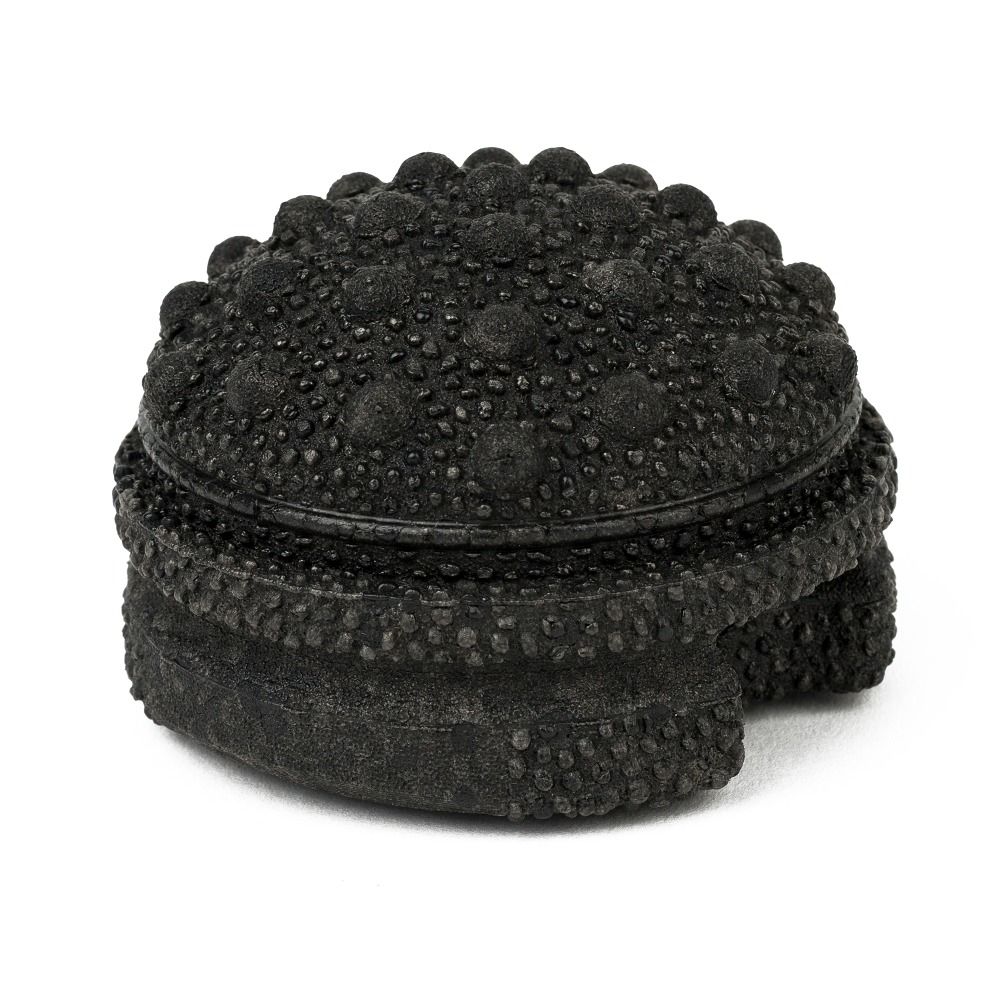 Blackroll Faszientool Twister 1 St