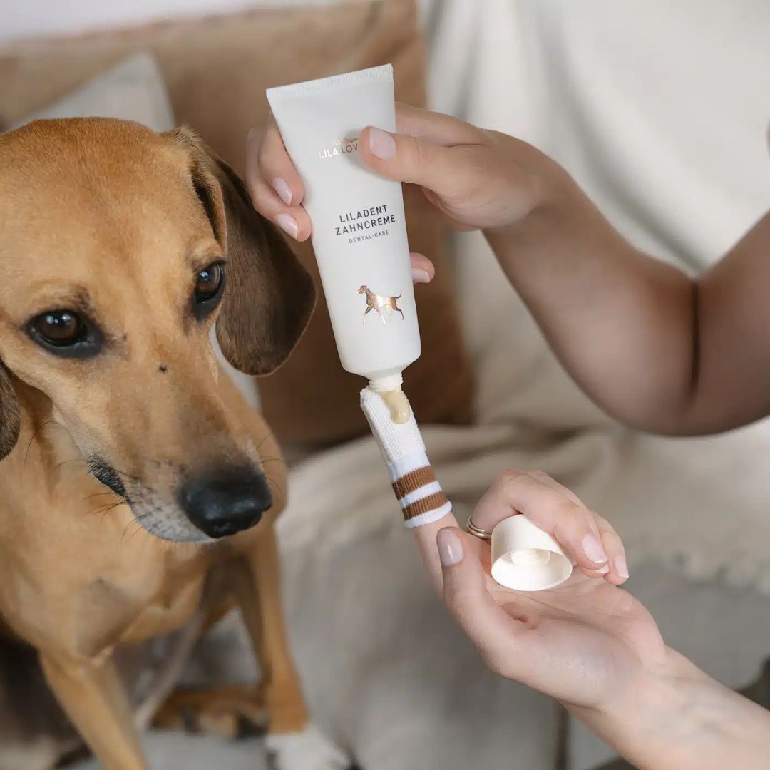 Zahncreme-Tube Liladent, weiß, mit braunem Aufdruck. Person reinigt Zähne eines Hundes mit Fingerling.