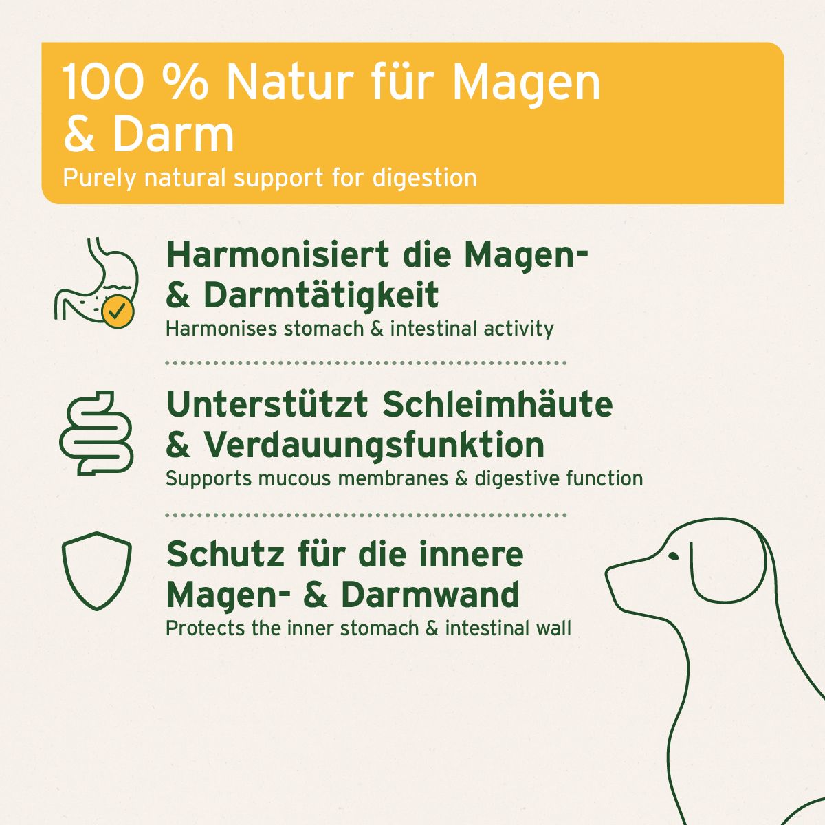 Infografik mit Text und Symbolen. Themen: Magen- & Darmtätigkeit, Schleimhäute, Verdauungsfunktion, Schutz der Darmwand.