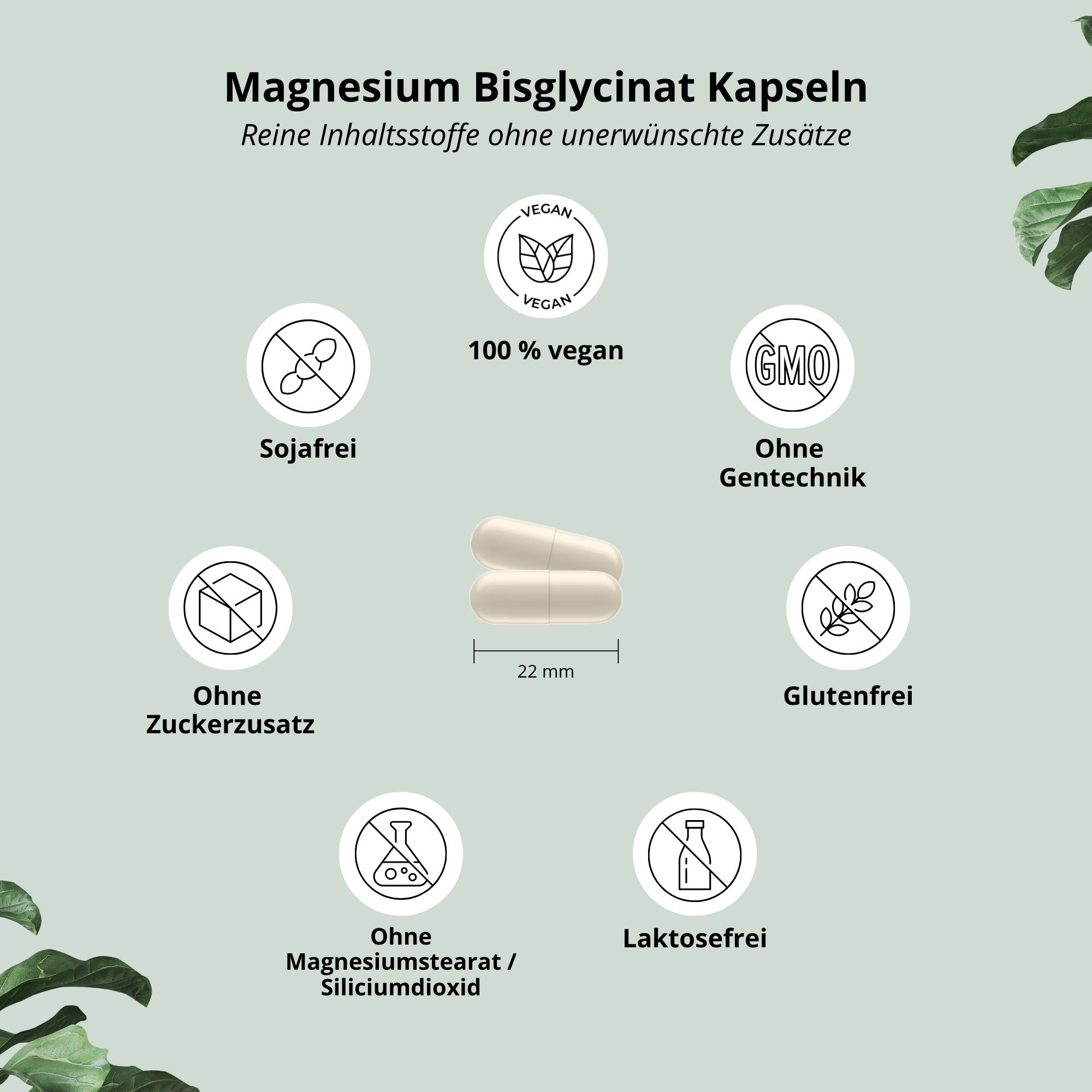 Zwei Kapseln, 22 mm lang. Text: 100% vegan, ohne Zuckerzusatz, ohne Soja, ohne Gentechnik, glutenfrei, ohne Magnesiumstearat/Siliciumdioxid, laktosefrei.