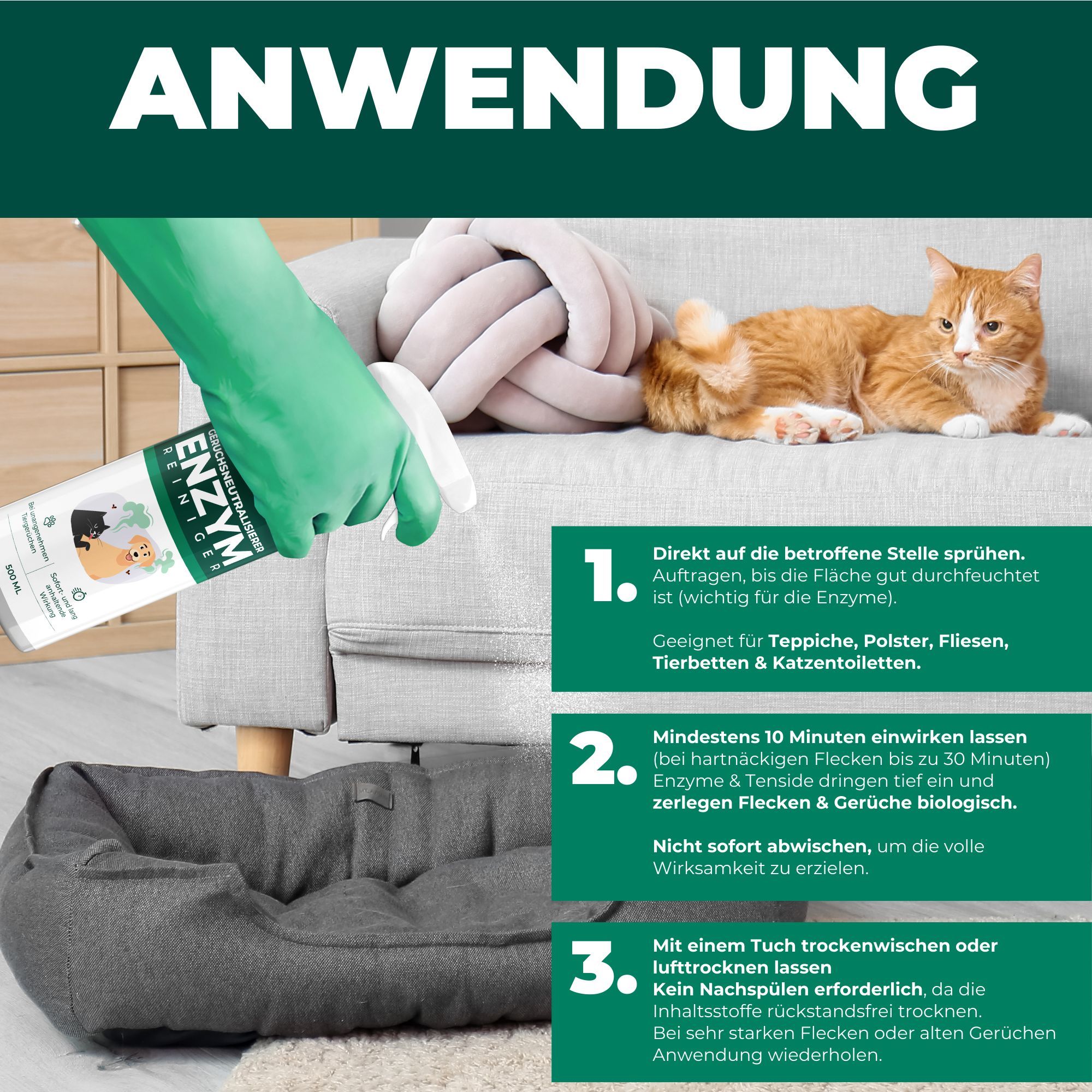 SILBERKRAFT Enzymreiniger Hund & Katze
