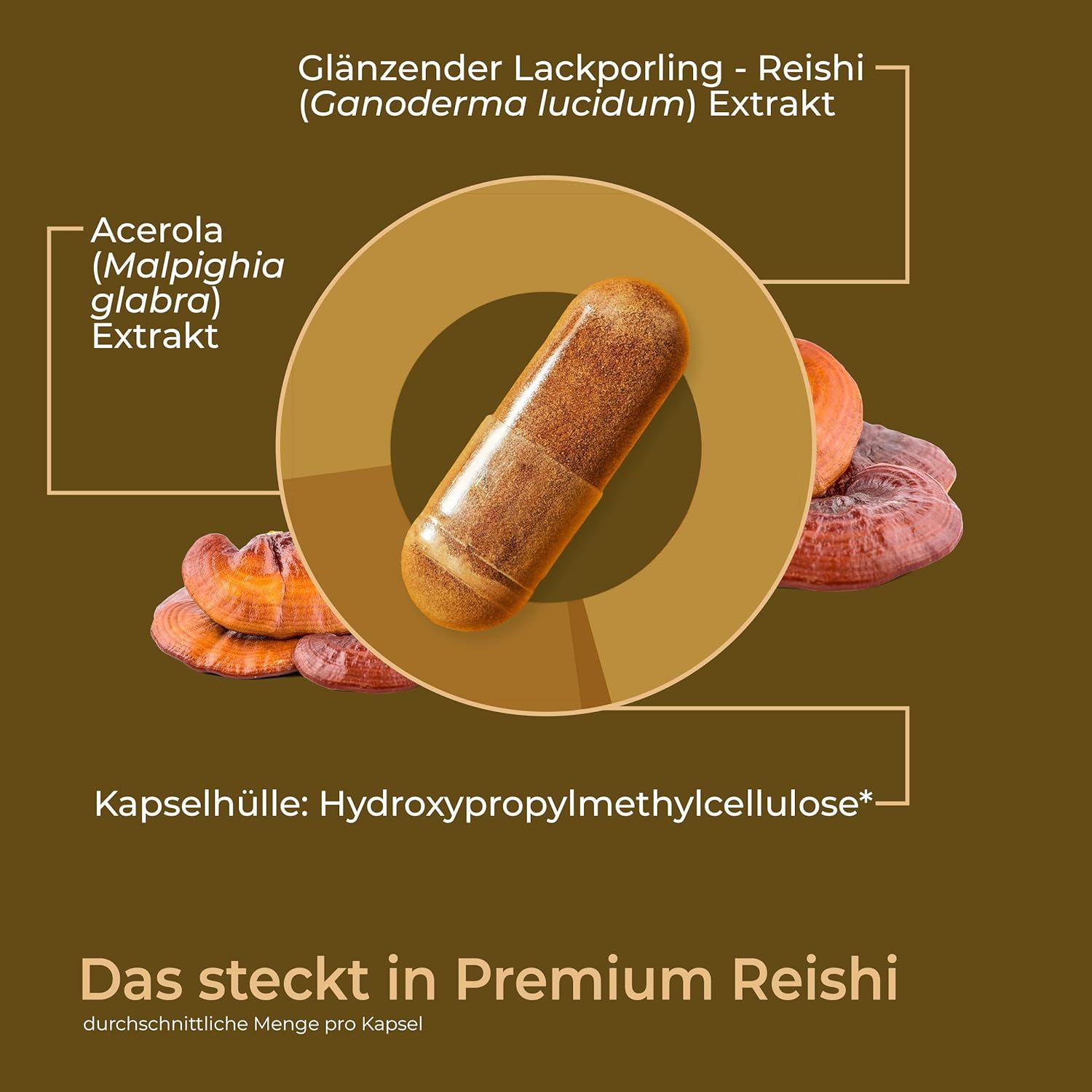 Viktilabs Premium Reishi: Vitalpilz mit 100% natürlichem Vitamin C