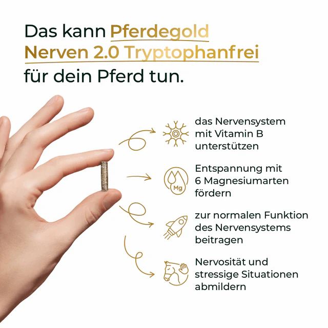 Hand hält eine Kapsel, die die Wirkung von Pferdegold Nerven erklärt.