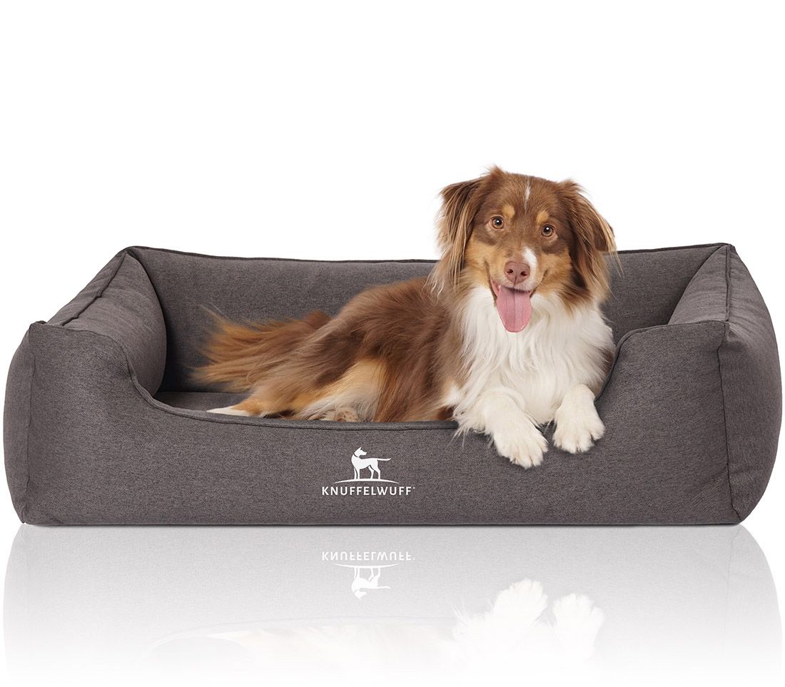 Knuffelwuff Orthopädisches Hundebett Leano