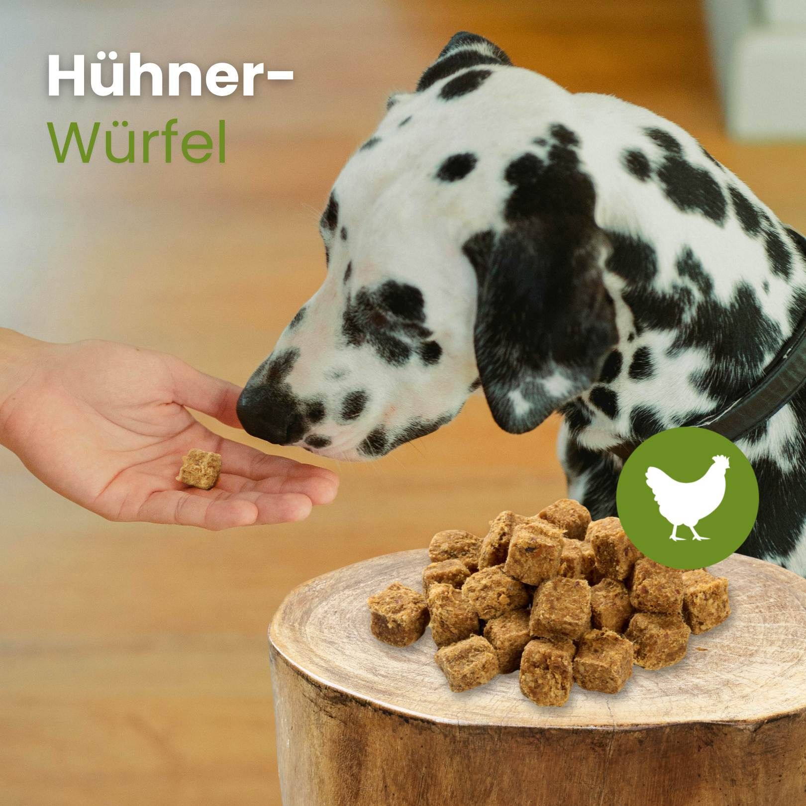 Ein Hund wird von einer Hand mit einem Hühnerwürfel gefüttert, daneben ein Haufen Würfel.