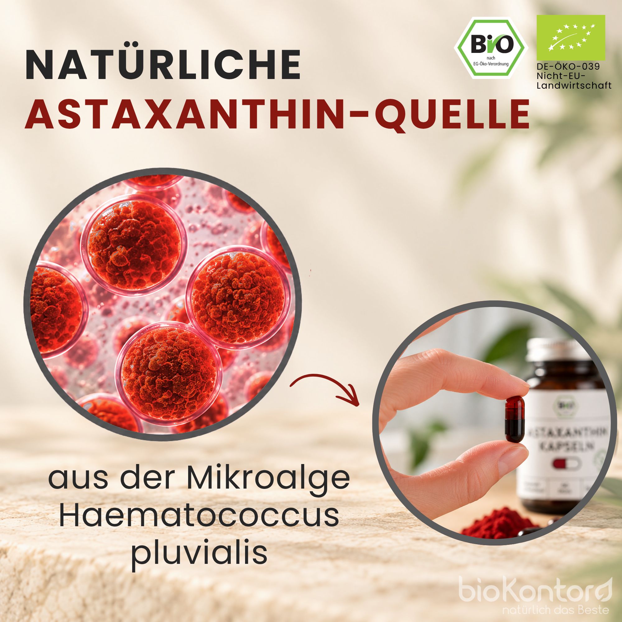 Astaxanthin-Kapseln aus Mikroalge Haematococcus pluvialis, 8mg.