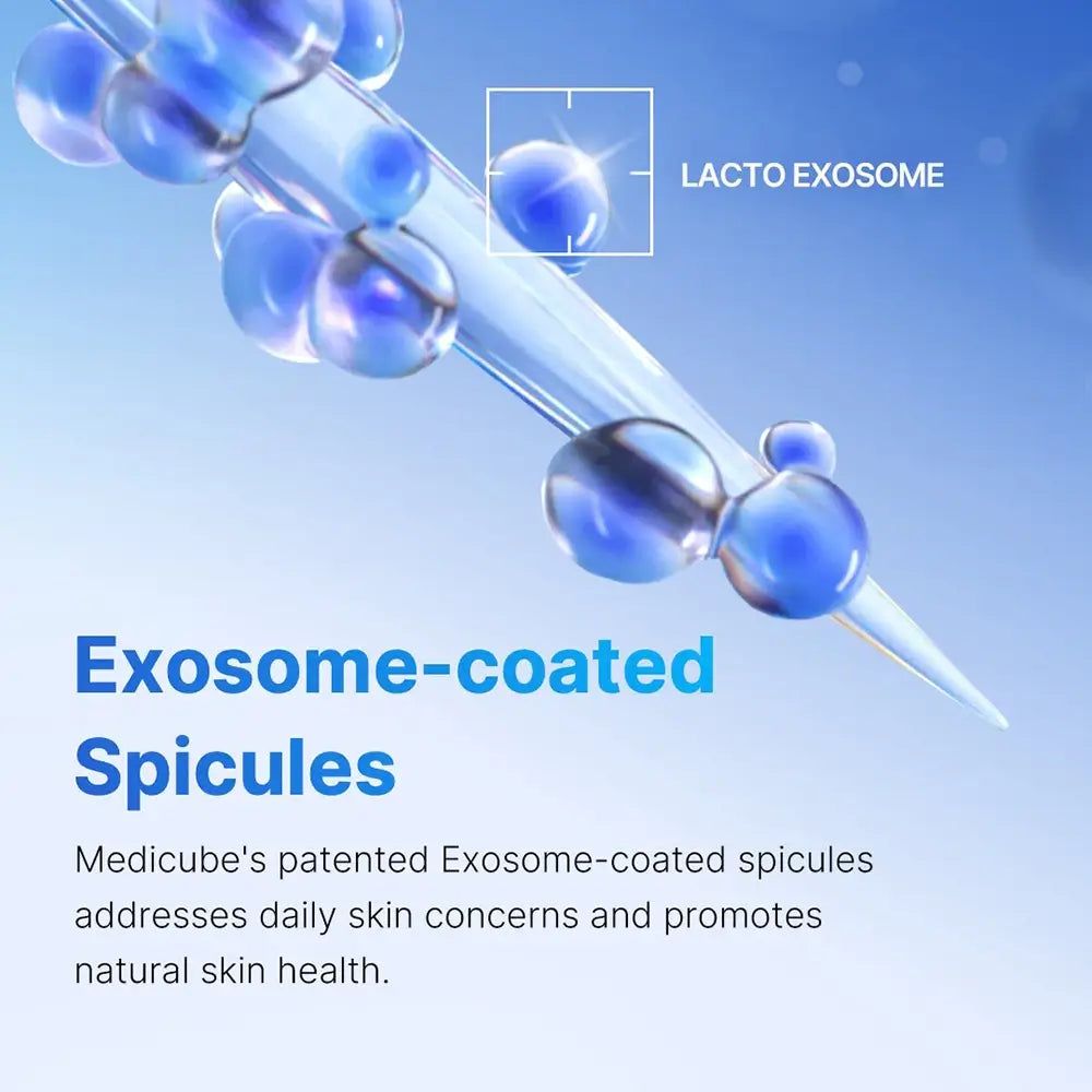 Abbildung von Exosomen-beschichteten Spicula. Text: „Exosome-coated Spicules“.