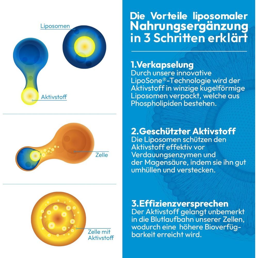 Infografik: Vorteile liposomaler Nahrungsergänzung. 3 Schritte erklärt: Verkapselung, geschützter Wirkstoff, Effizienzversprechen.
