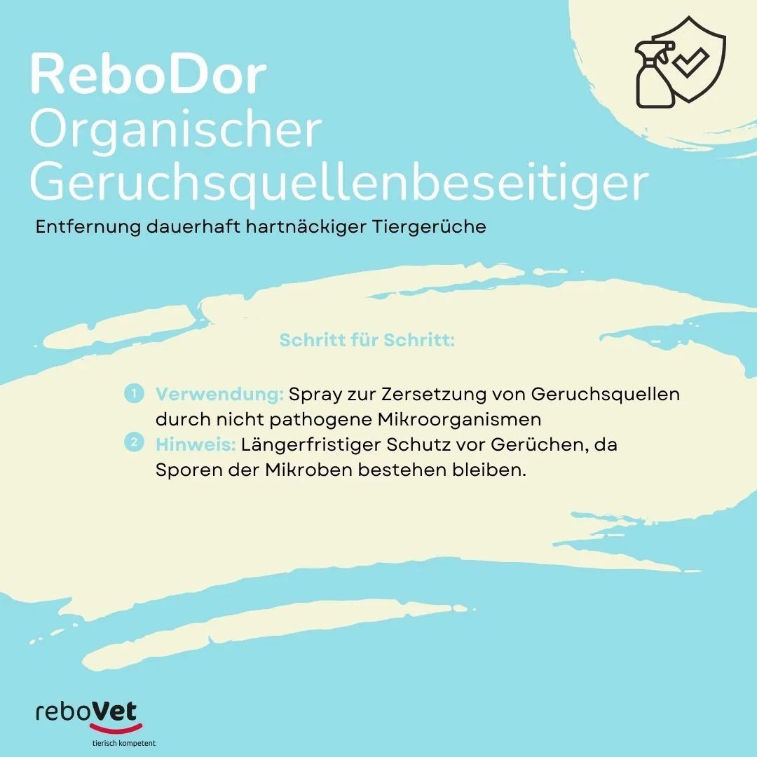 ReboDor organischer Geruchsentferner. Schritt-für-Schritt-Anleitung zur Geruchsquellenbeseitigung.