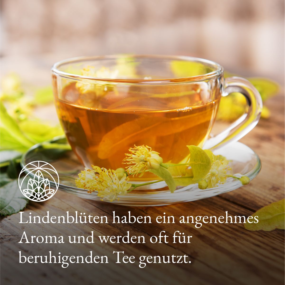 Monte Nativo Lindenblüten Kräutertee lose