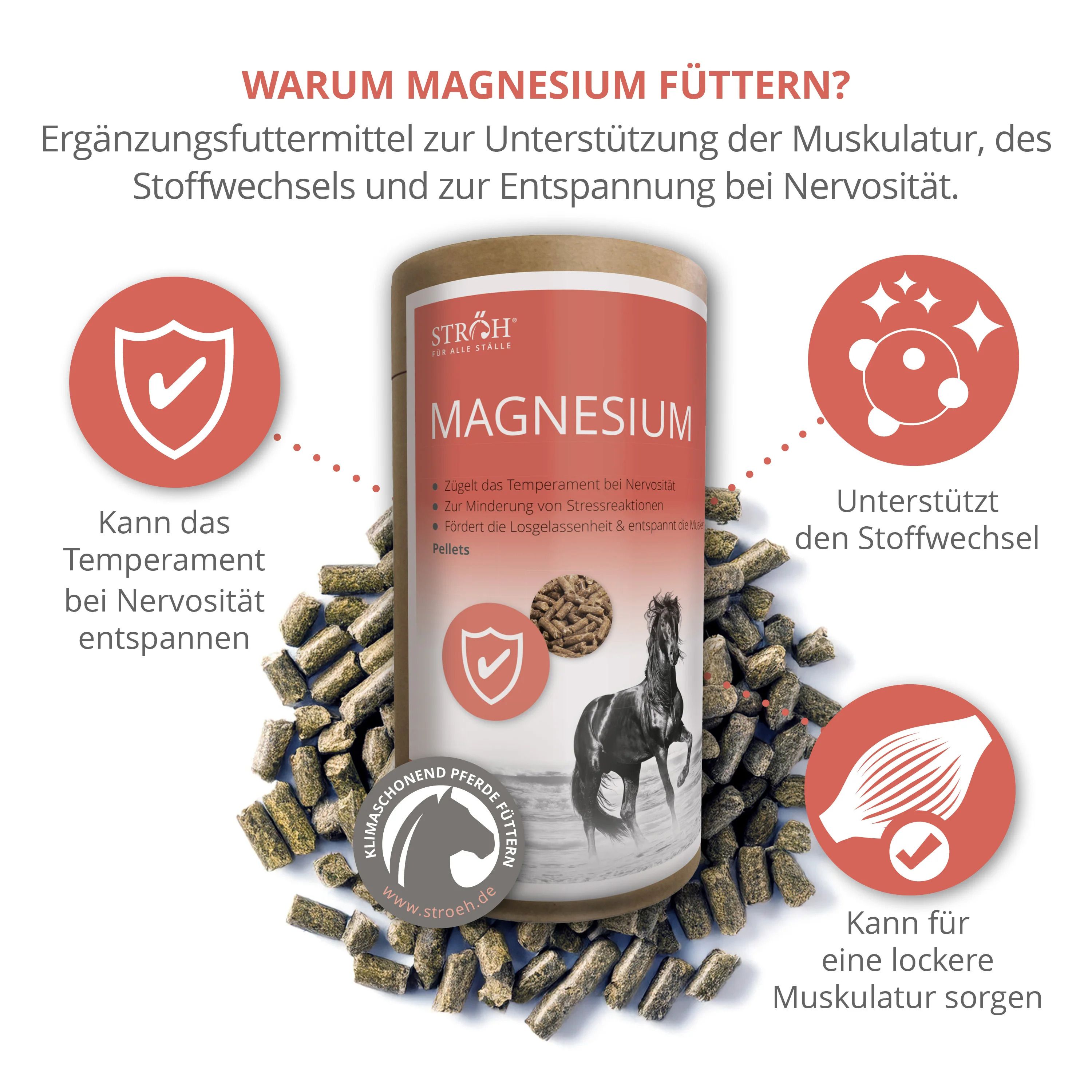Zylindrische Dose mit rotem Etikett. Aufschrift: Magnesium. Abbildung eines Pferdes. Pellets umgeben die Dose.