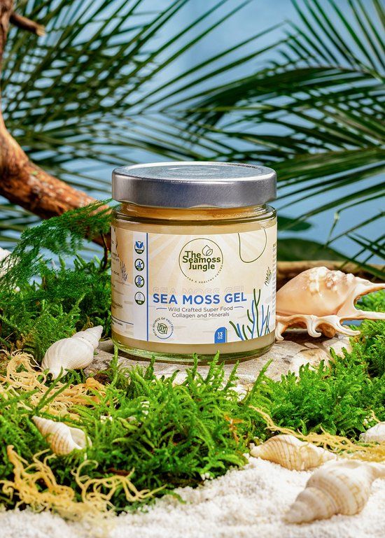 Glas mit Sea Moss Gel. Aufschrift: The Seamoss Jungle, Sea Moss Gel, Wild Crafted Super Food. Umgeben von Muscheln und Pflanzen.