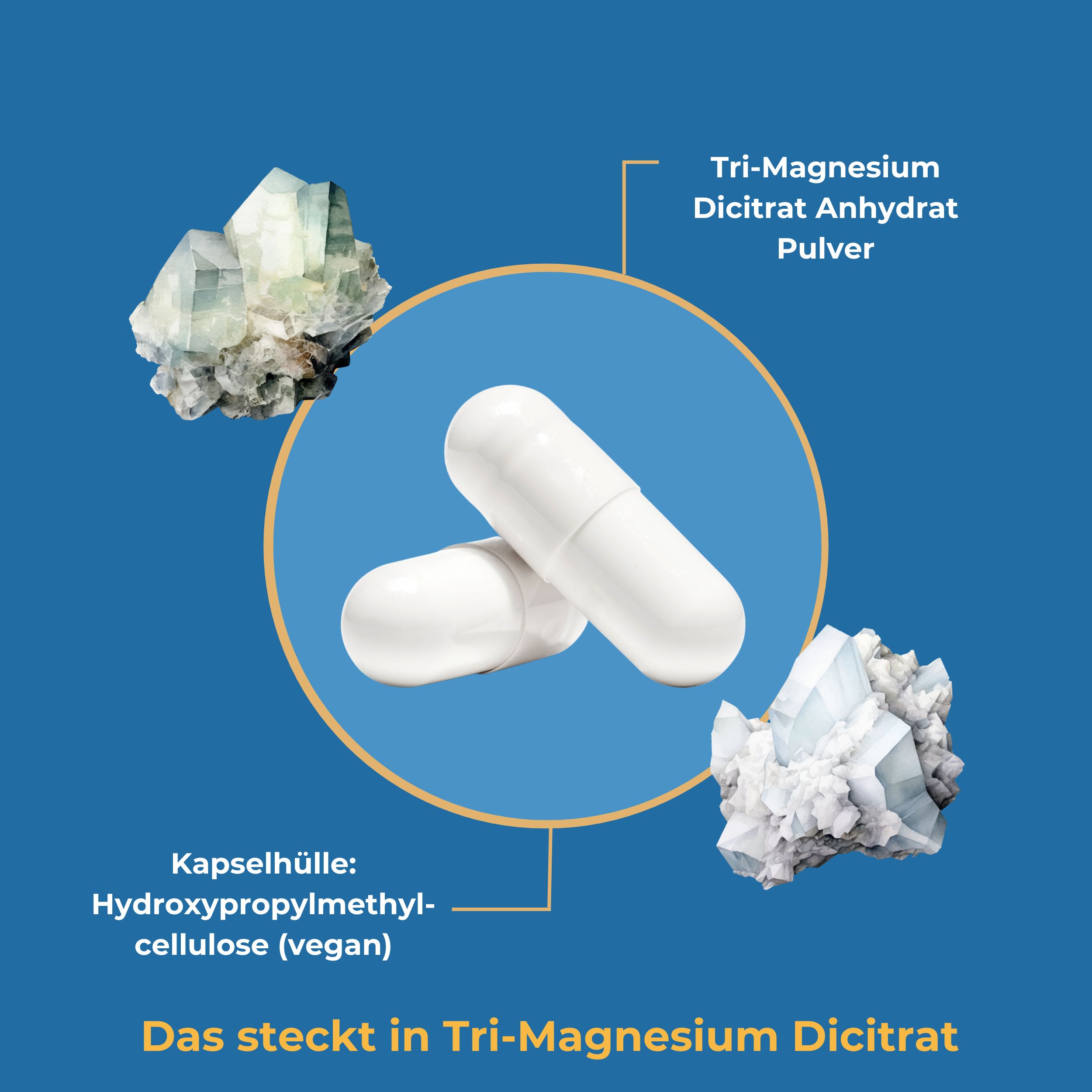 Viktilabs Magnesium: Tri-Magnesium Dicitrat für schnelle Aufnahme und hohe Bioverfügbarkeit