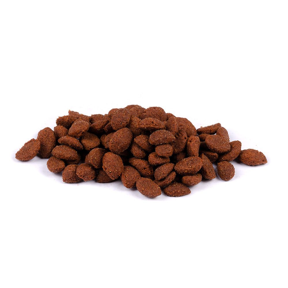 Brit Care Cat - Superfruits - Salmon