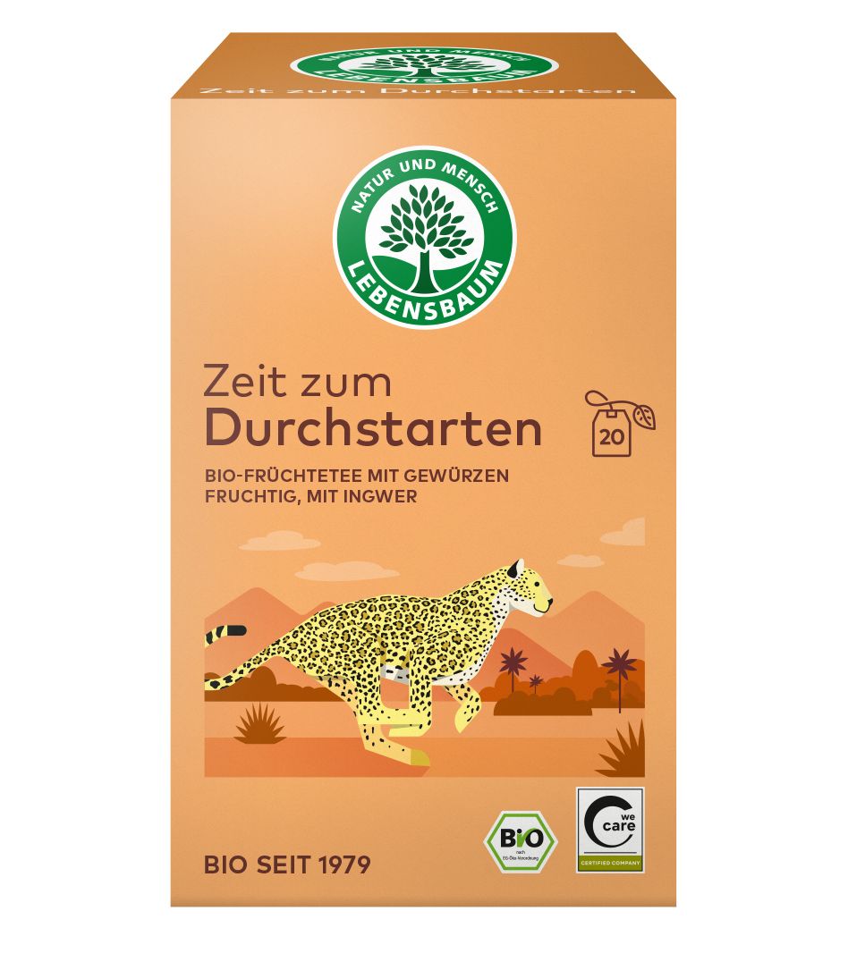 Bio Früchte-Gewürztee Ingwer und Elan 40 g Tee