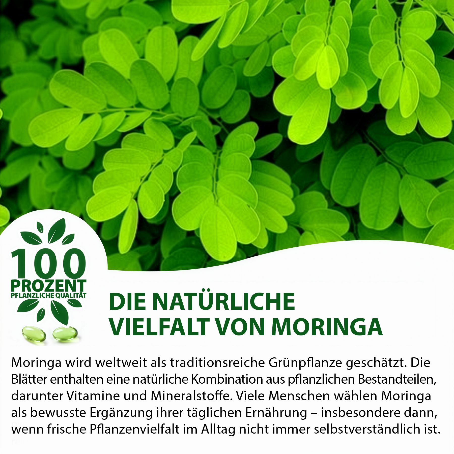 Grüne Blätter. Text: Die natürliche Vielfalt von Moringa. Text: 100% pflanzliche Qualität. Zwei grüne Kapseln.