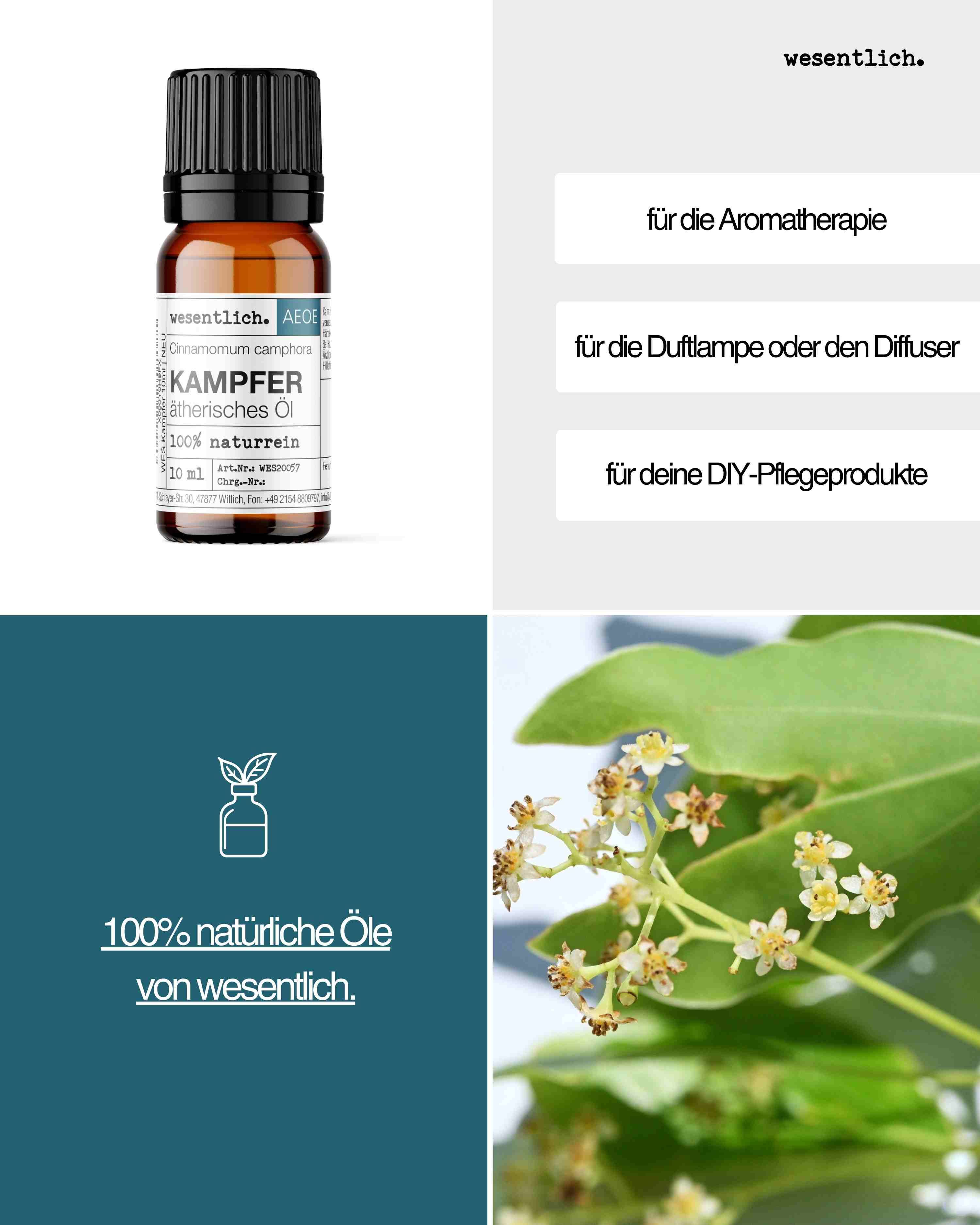 Flasche Kampferöl und Anwendungshinweise: Aromatherapie, Duftlampe, DIY-Pflegeprodukte.