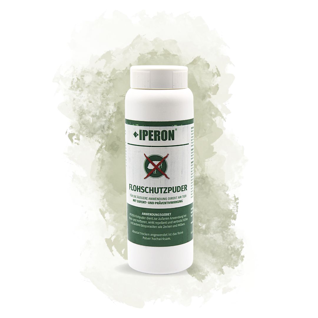 Weiße Flasche mit grünem Etikett. Text: IPERON, Flohschutzpuder. Logo: Gekreuztes Floh-Symbol. Grün-weißer Hintergrund.