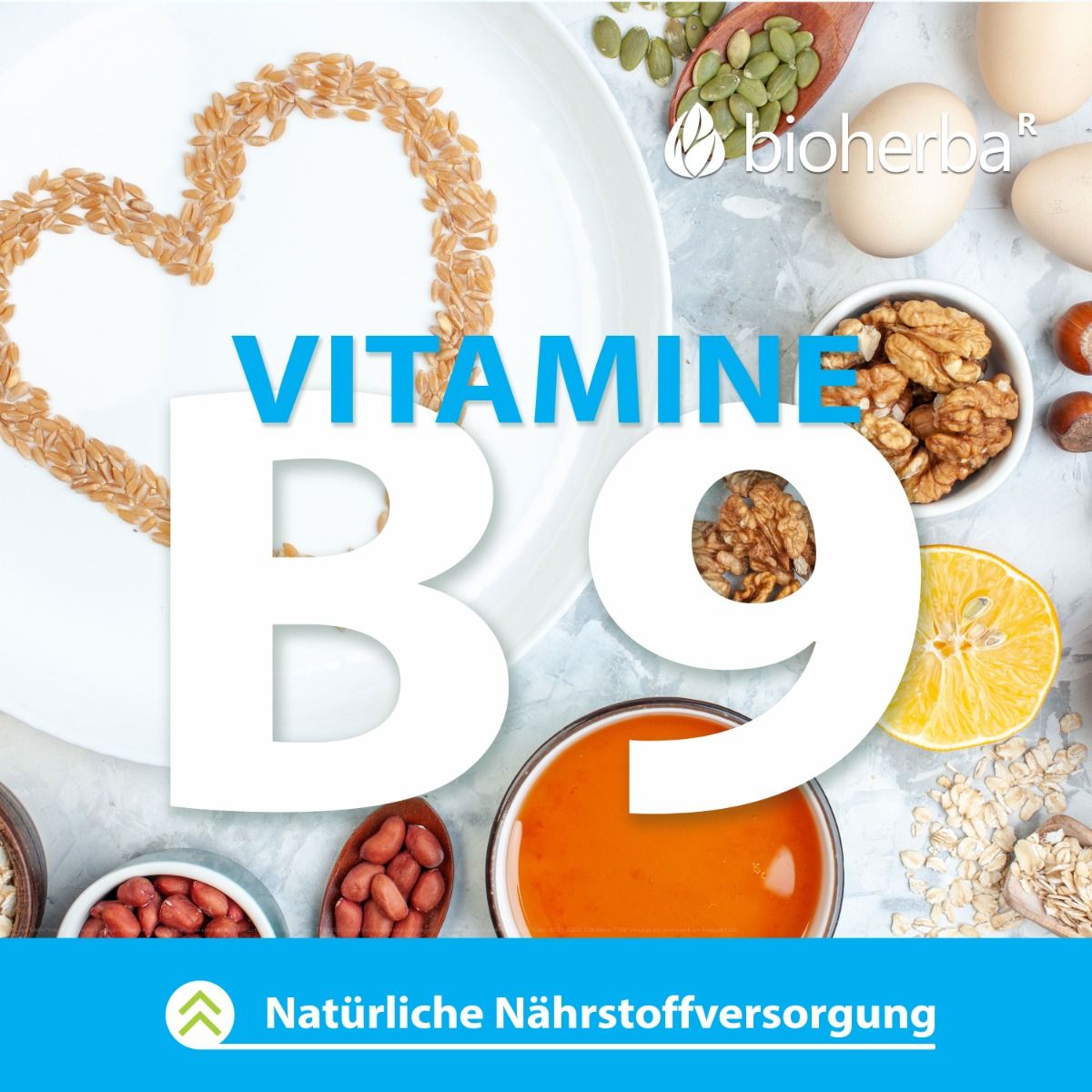 Verschiedene Lebensmittel, darunter Nüsse, Getreide und eine Zitrone, bilden ein Herz. Text: Vitamin B9. Marke: bioherba.