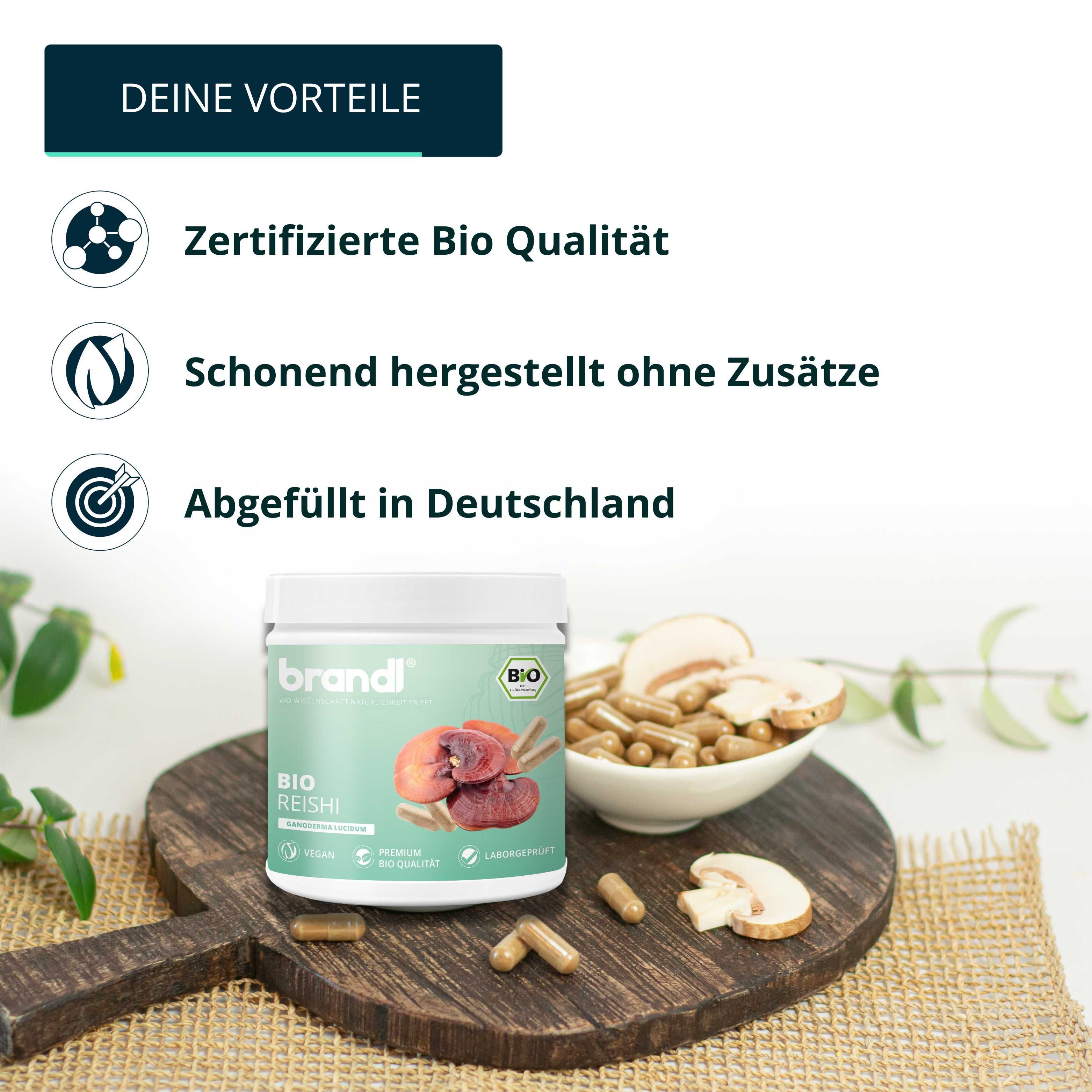 brandl® Bio Reishi Vitalpilz