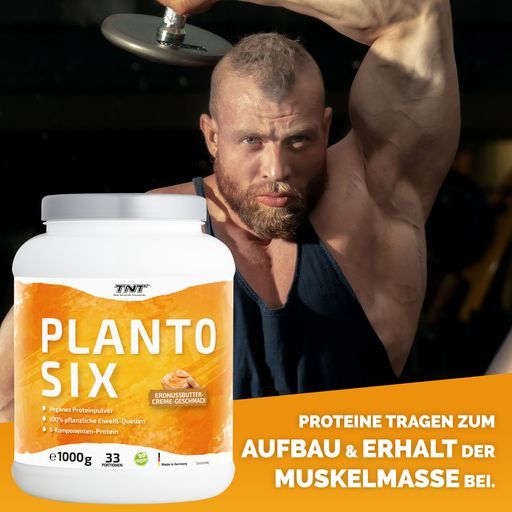 TNT Planto Six, veganes Mehrkomponenten Protein, super cremig im Erdnussbutter-Creme Geschmack