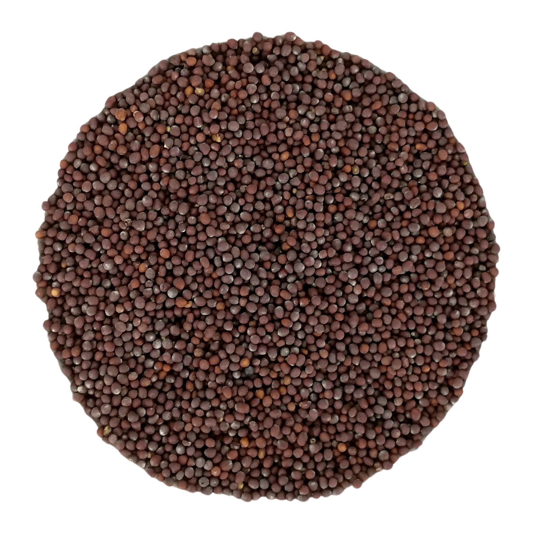 PEPPERMINTMAN Schwarzer Senf, Bio
