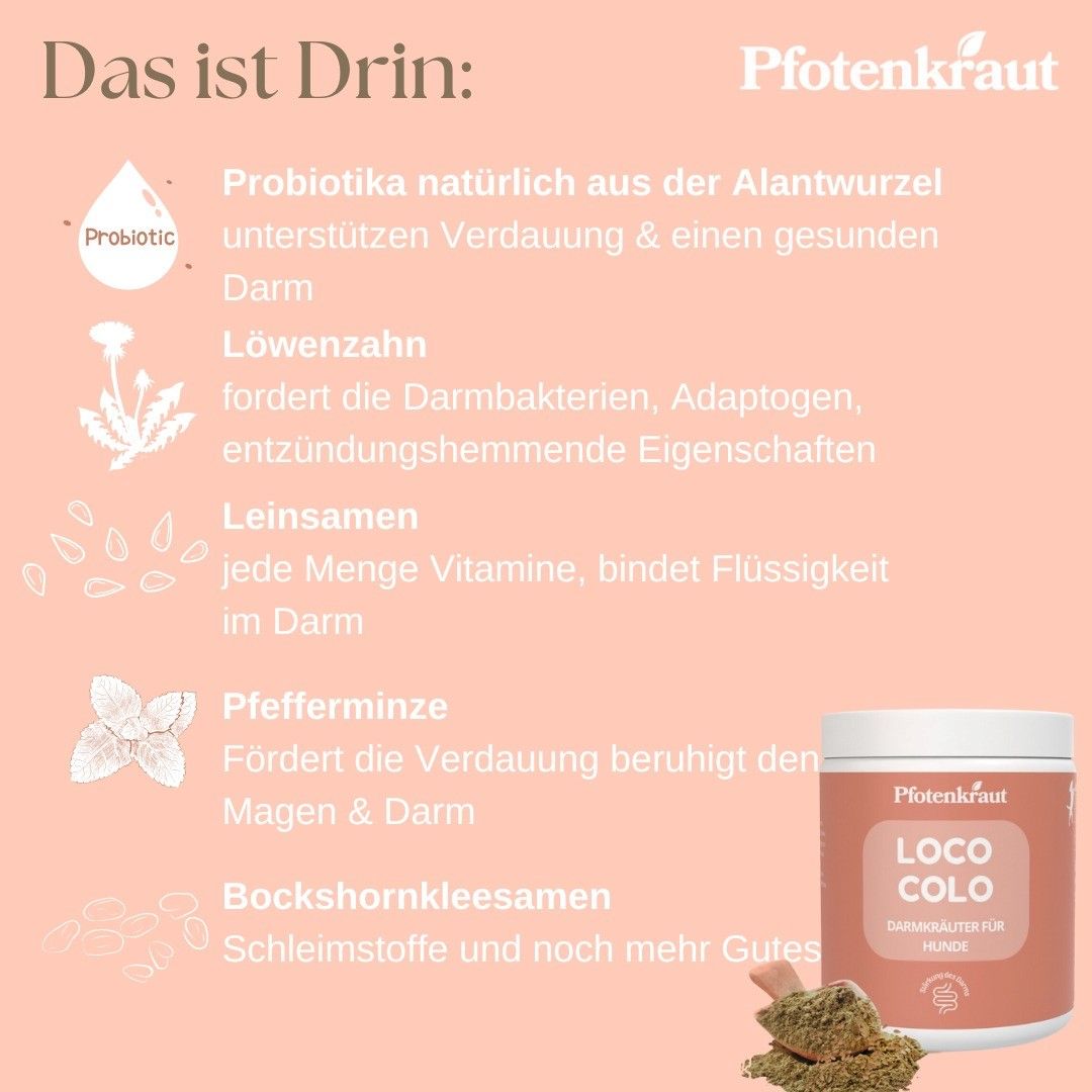 Pfotenkraut Darm Kräuter LOCO COLO