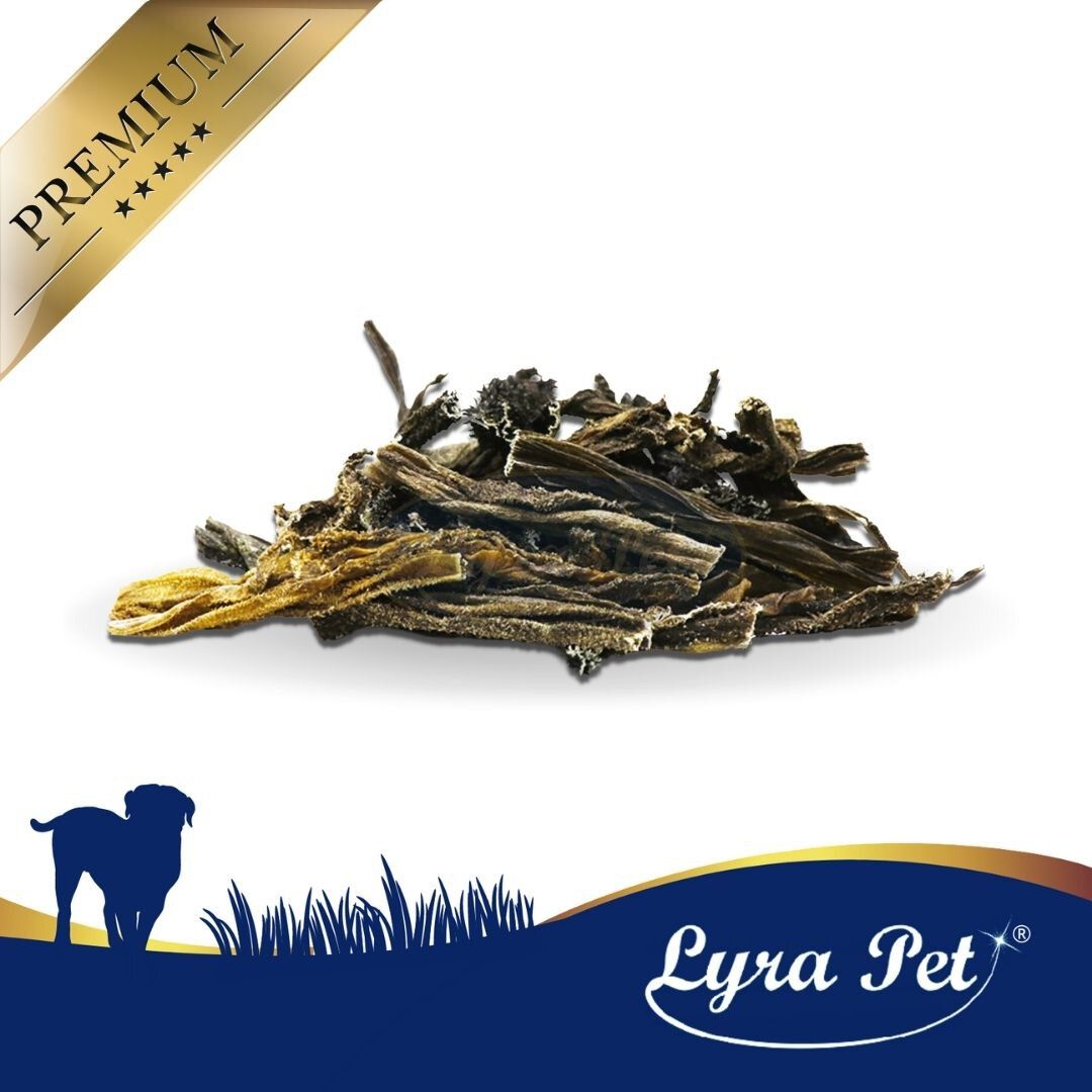 Haufen getrockneter Lammpansen-Stücke. Logo 'Lyra Pet' am unteren Rand. Goldener Aufkleber 'Premium'. Hundesilhouette.
