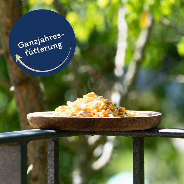Maiskörner in einer Holzschale. Beschriftung: Ganzjahresfütterung. Hintergrund: Grün.