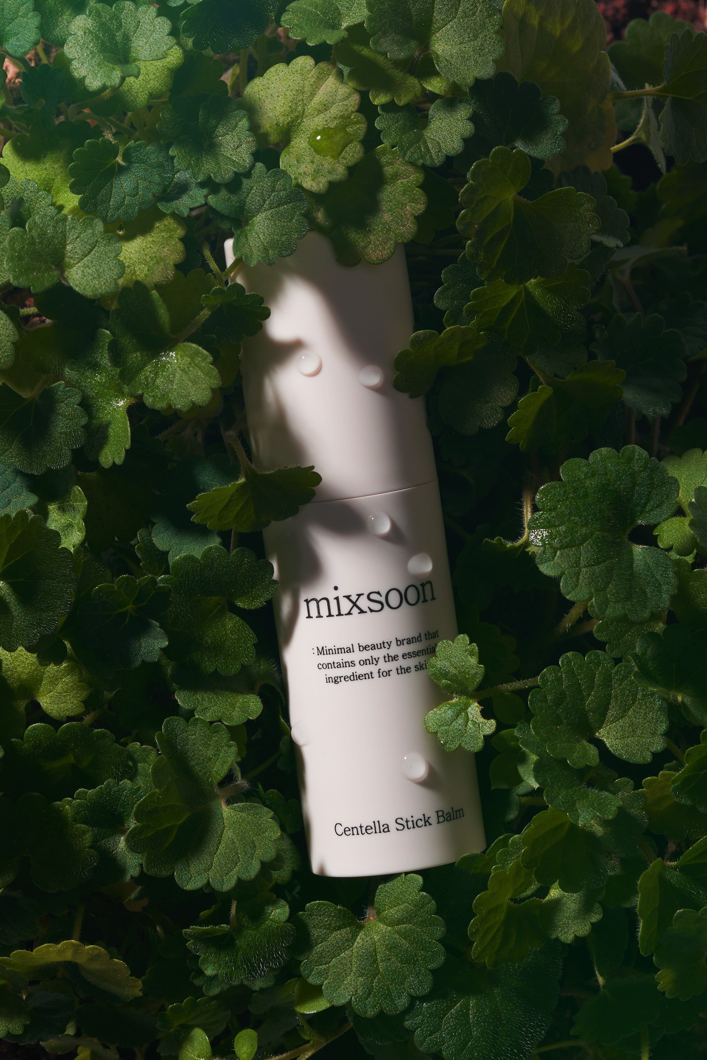 Weißer Stick-Balsam, teilweise von Blättern umgeben. Aufschrift: mixsoon Centella Stick Balm.