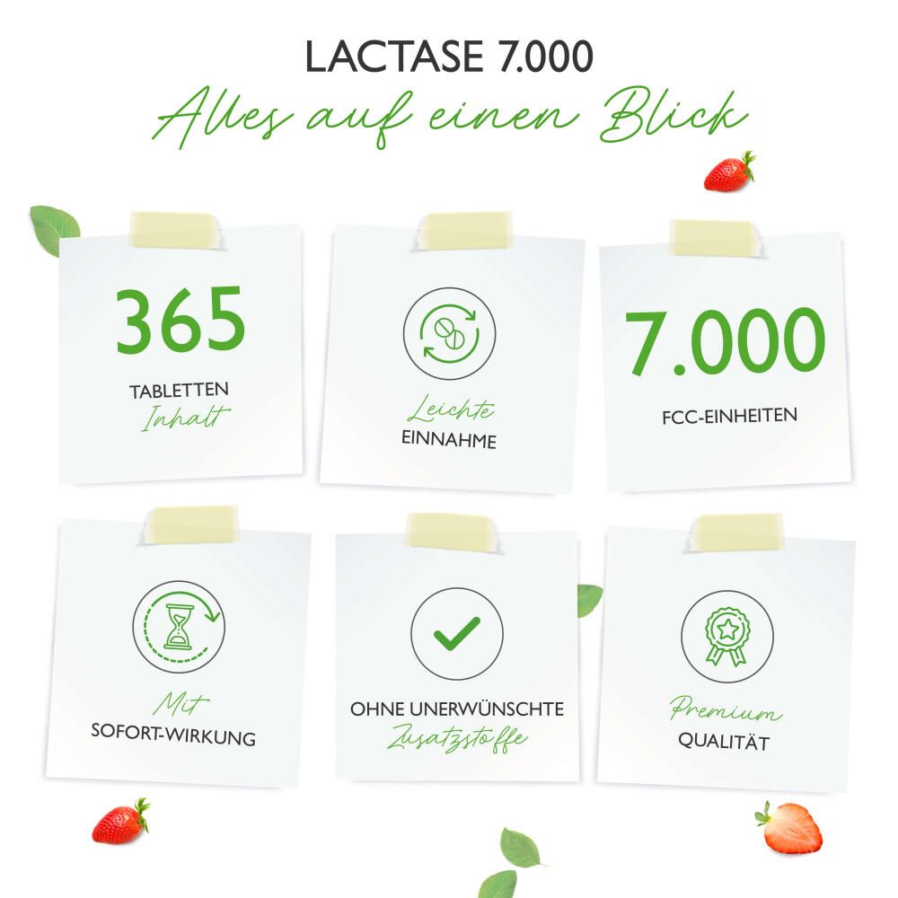 vit4ever Laktase
