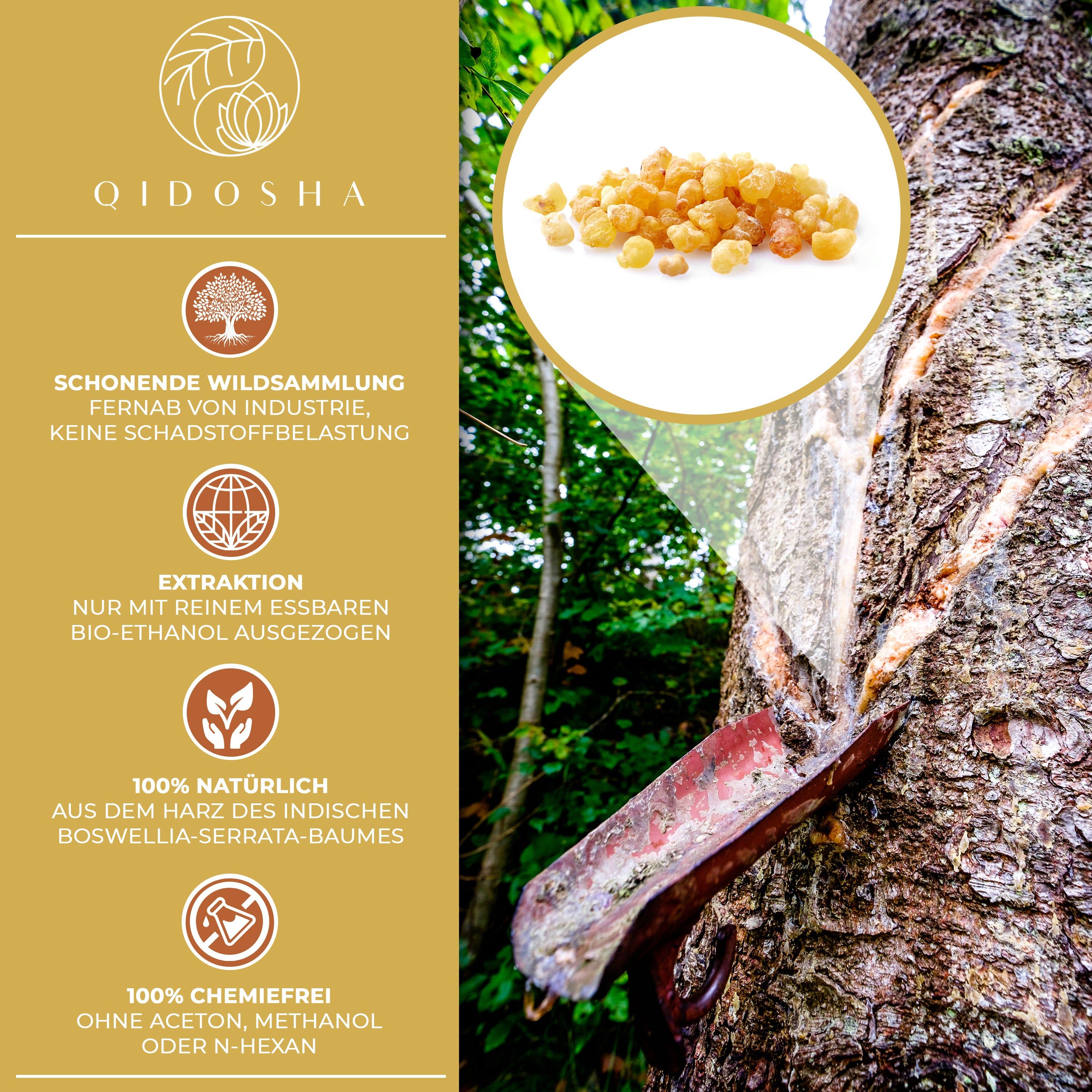 QIDOSHA Weihrauch Extrakt (Boswellia Serrata 85%)