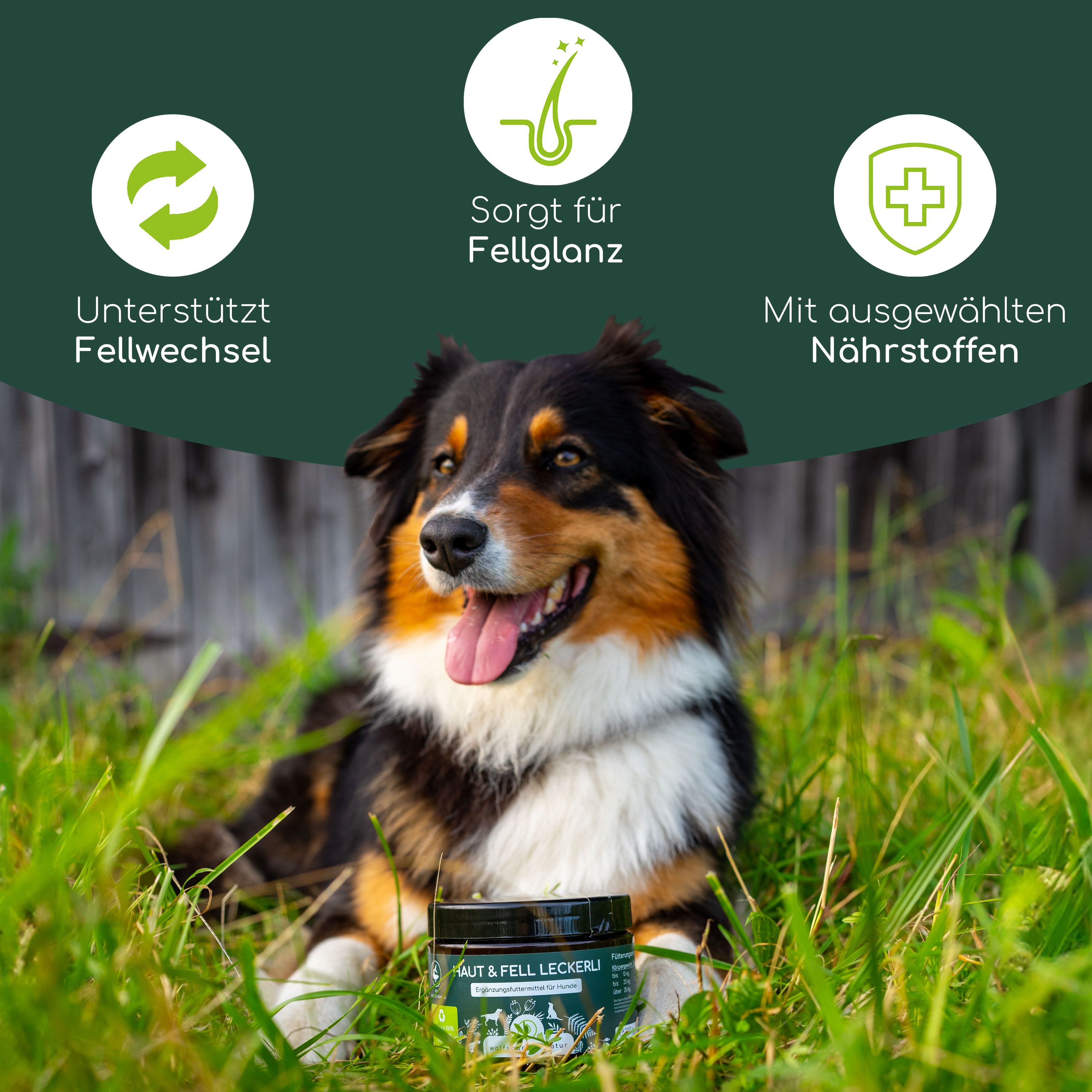 Haut & Fell Leckerli Dose neben Hund im Gras. Text: Unterstützt Fellwechsel, Sorgt für Fellglanz, Mit ausgewählten Nährstoffen.