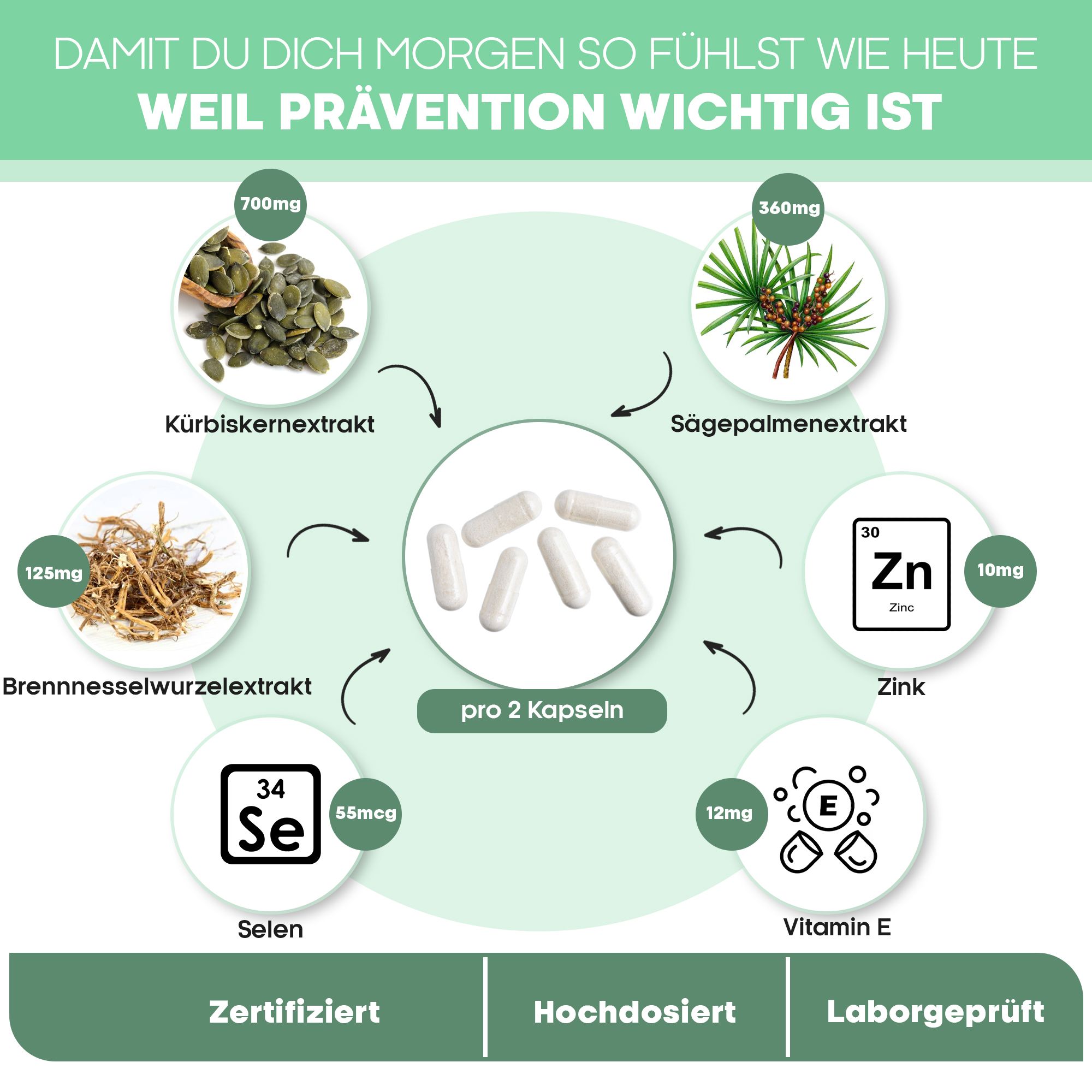 Kreisförmige Darstellung mit Kapseln und Inhaltsstoffen: Kürbiskernextrakt, Sägepalmenextrakt, Brennnesselwurzelextrakt, Zink, Selen, Vitamin E.