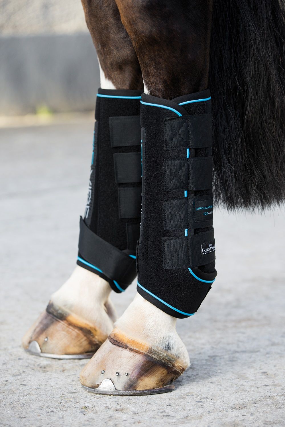 Schwarze Gamaschen mit blauem Rand und ICE-VIBE-Schriftzug an Pferdebeinen. Klettverschlüsse und Horseware-Logo.