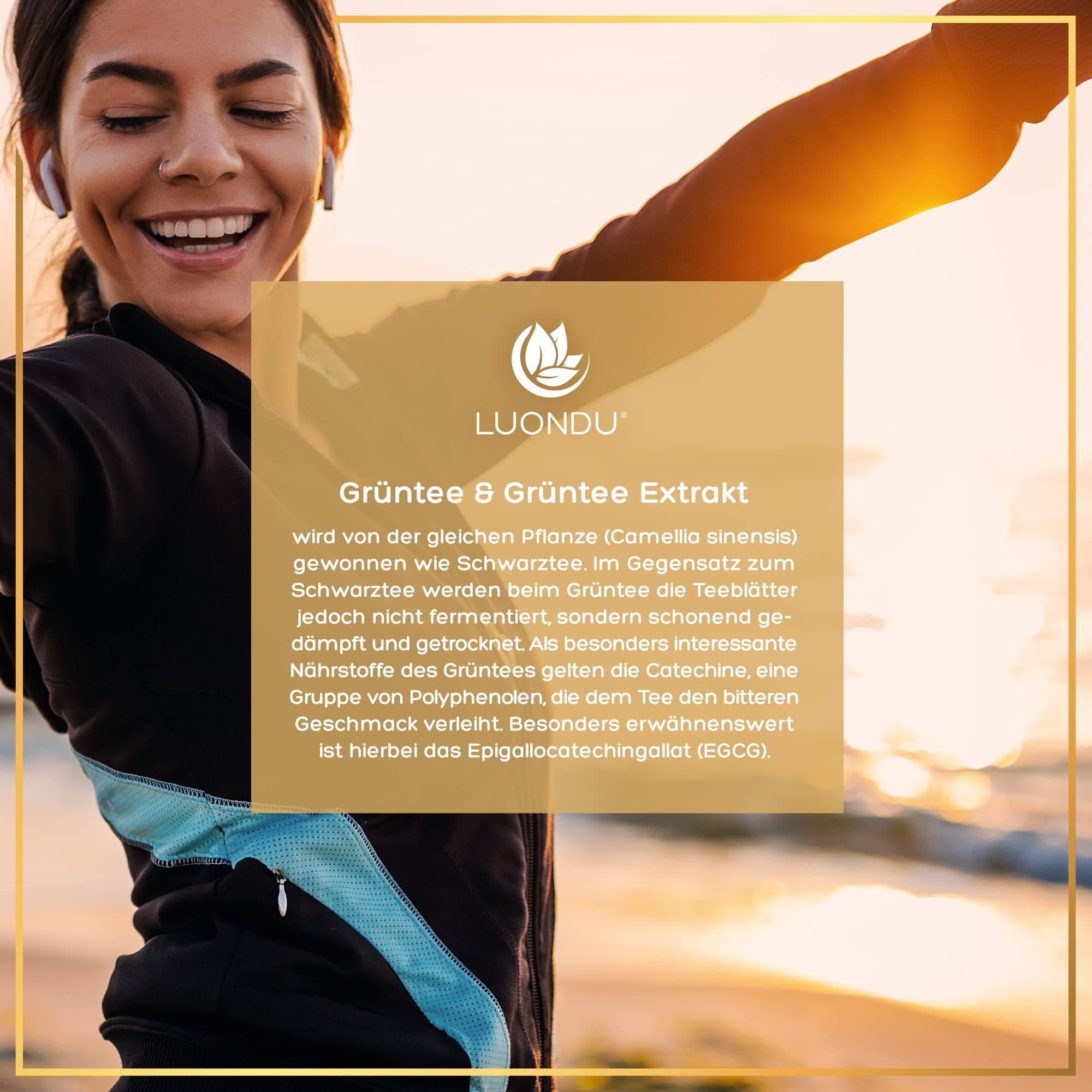 Luondu Grüntee Extrakt Kapseln Hochdosiert - 90 Kapseln - 30 Tage Vorrat