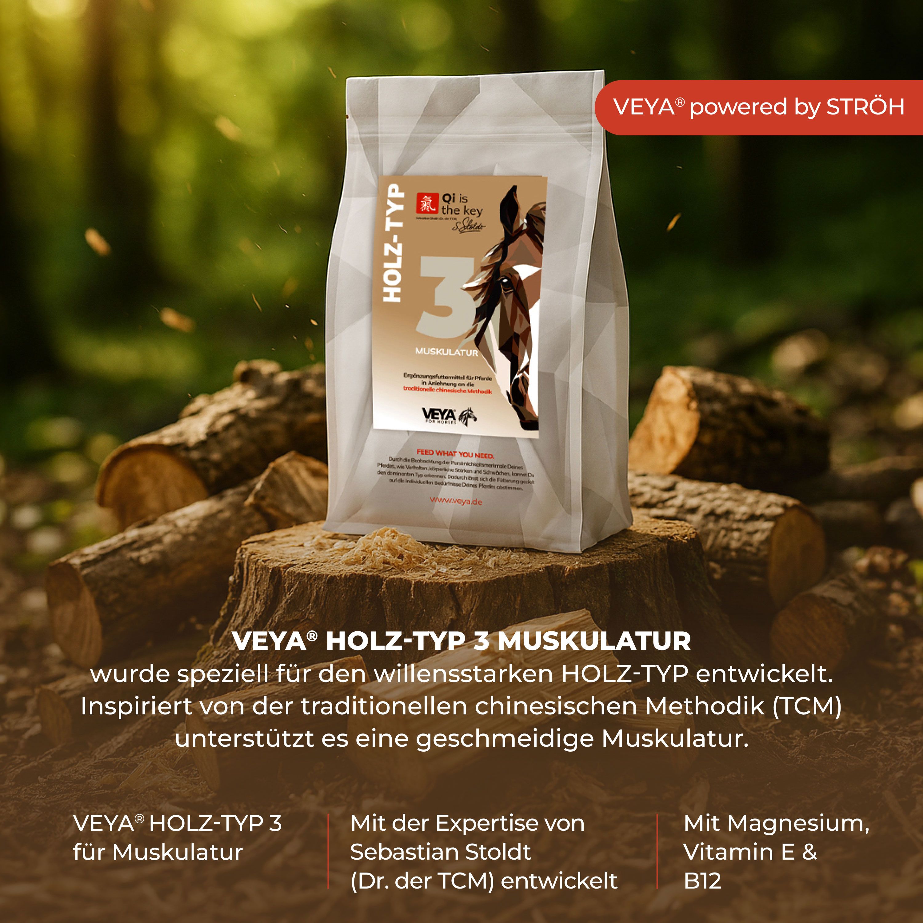 VEYA HOLZ-TYP 3 Muskulatur