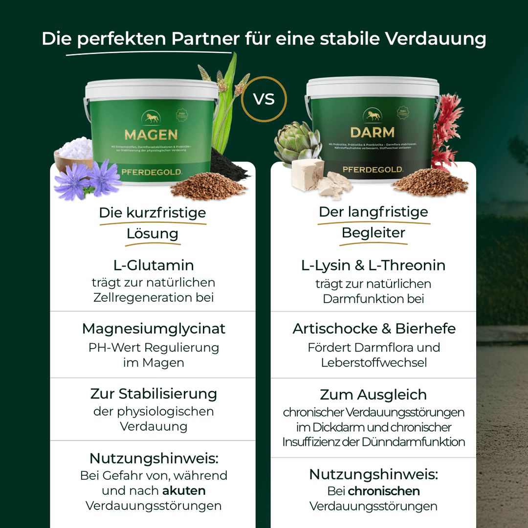 Pferdegold Magen