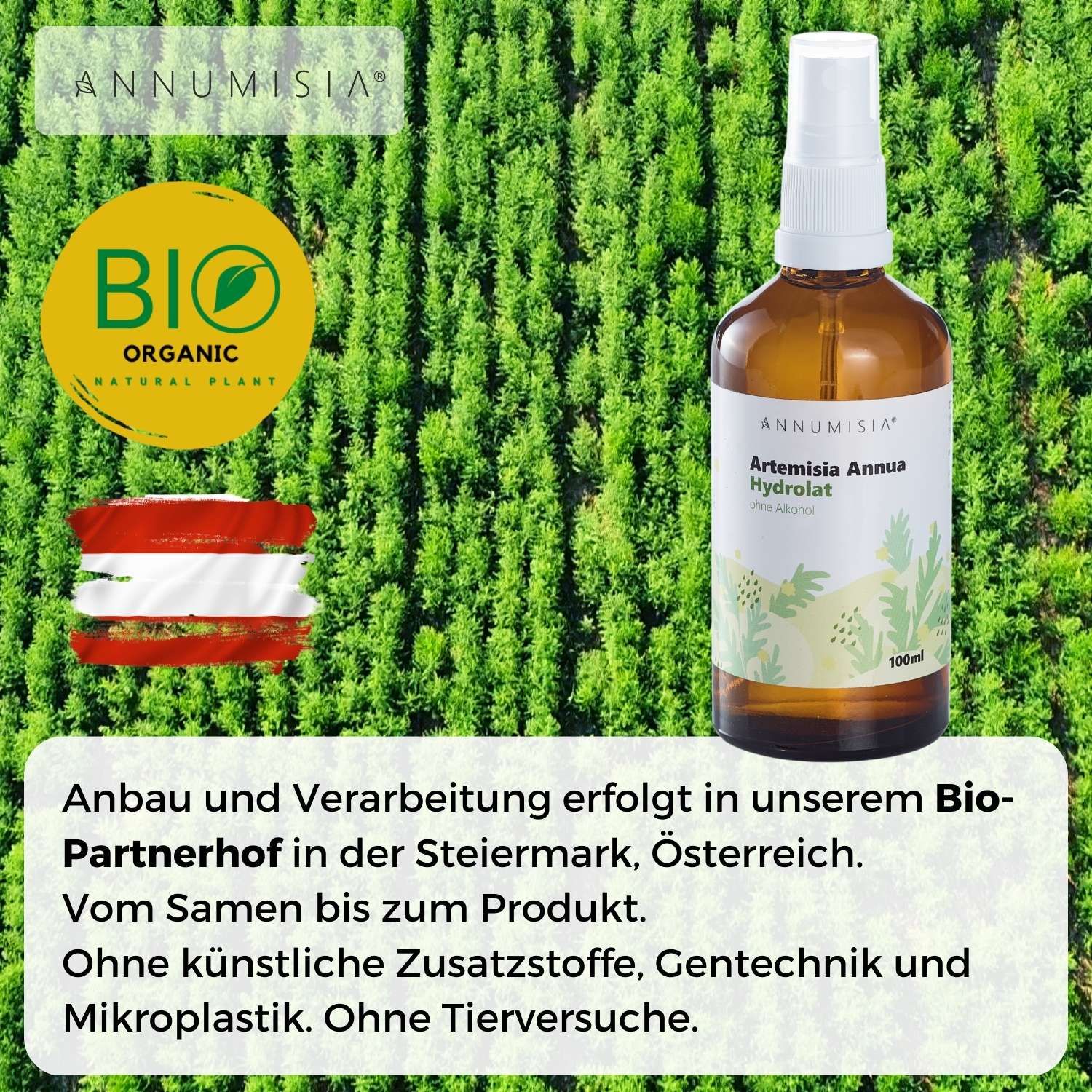 ANNUMISIA® Artemisia Annua Hydrolat-Flasche vor grünem Hintergrund. Bio-Siegel, österreichische Flagge. Text: Anbau in der Steiermark.