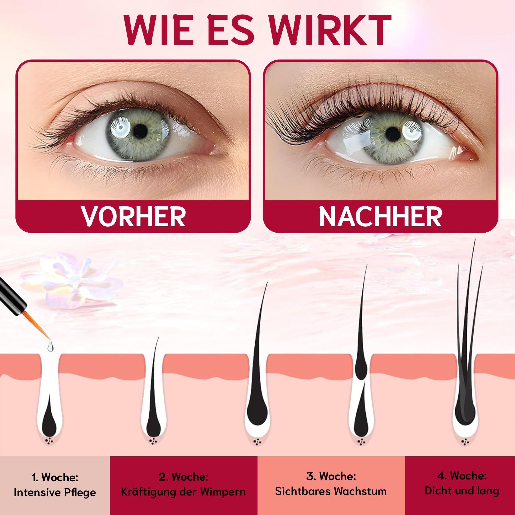 Vorher-Nachher-Vergleich. Auge mit kurzen und langen Wimpern. Diagramm der Wimpernwachstumsphasen.