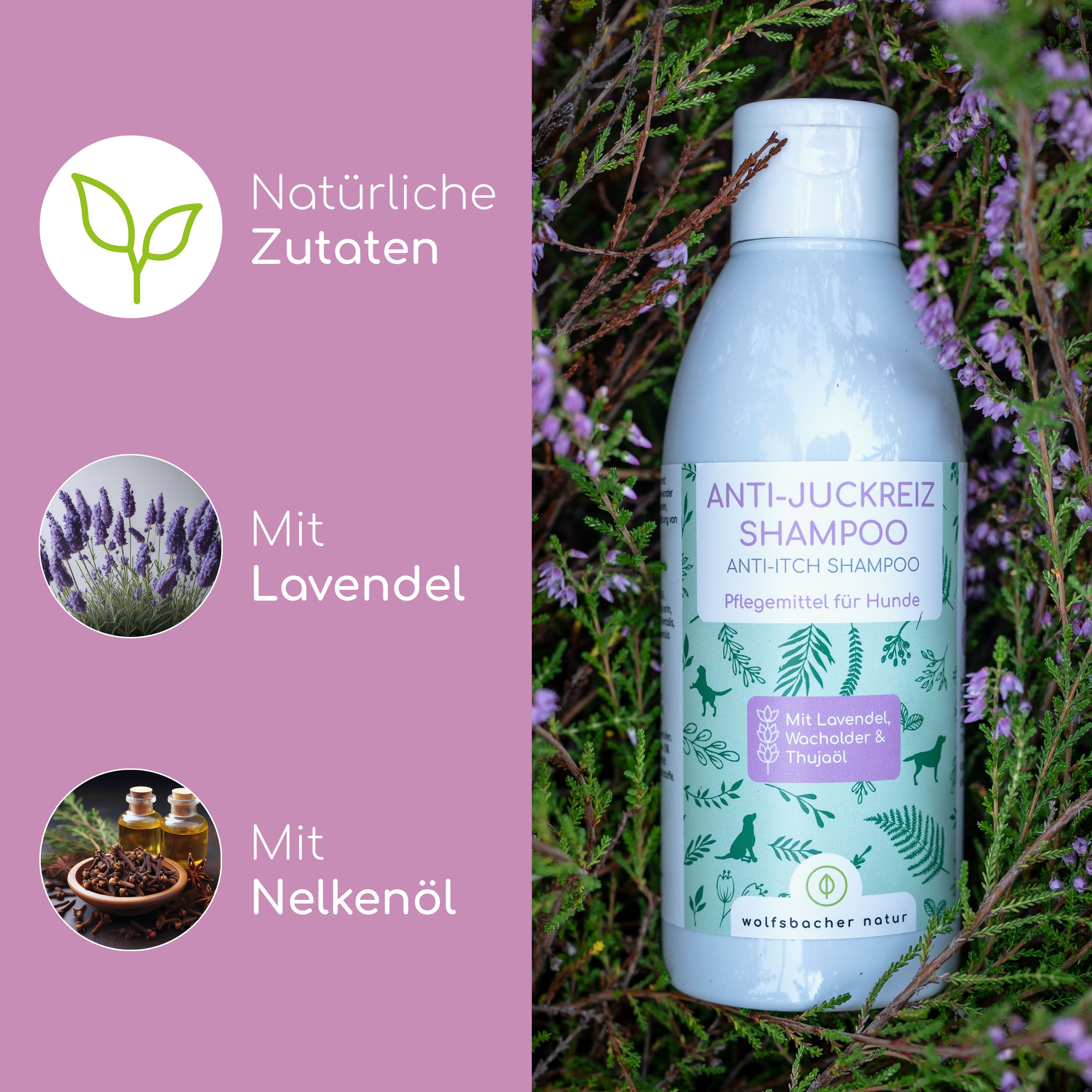 Flasche Shampoo mit Lavendel und Nelkenöl. Text: Anti-Juckreiz Shampoo, Anti-Itch Shampoo. Mit Lavendel, Wacholder & Thujaöl. Wolfsbacher Natur.