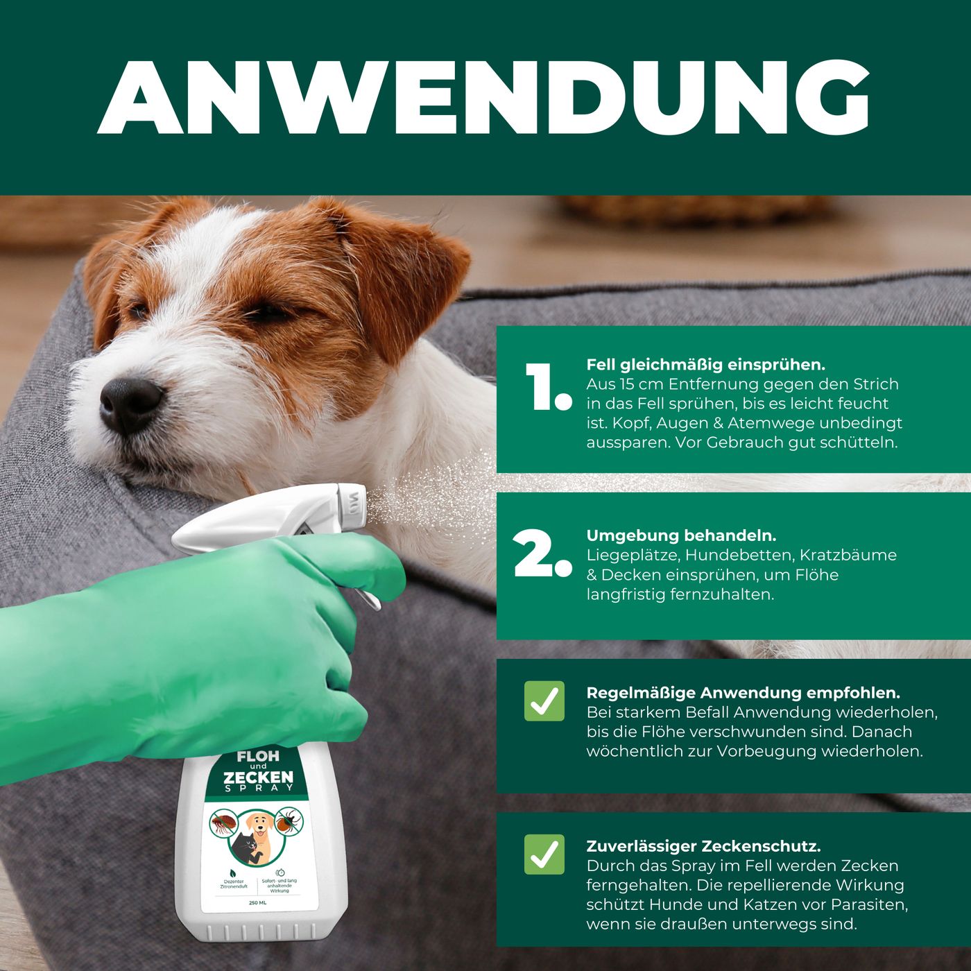 Anwendung: Fell einsprühen, Umgebung behandeln. Text: Regelmäßige Anwendung empfohlen. Zuverlässiger Zeckenschutz. Produktabbildung.