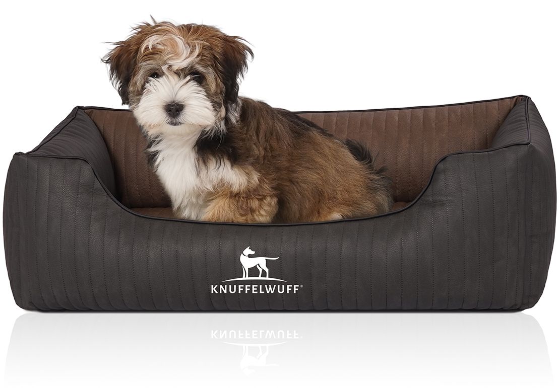Hundebett Outback mit Hund. Dunkelbraun und braun. Logo Knuffelwuff. Gesteppte Oberfläche, rechteckige Form. Hund sitzt im Bett.