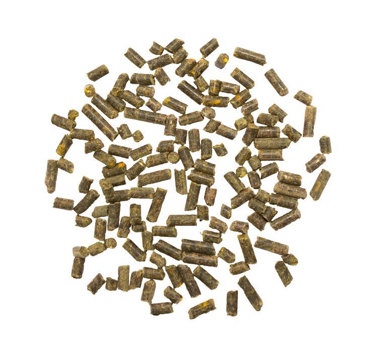 Haufen von zylindrischen, braunen Pellets auf weißem Hintergrund. Einige Pellets sind gelblich.