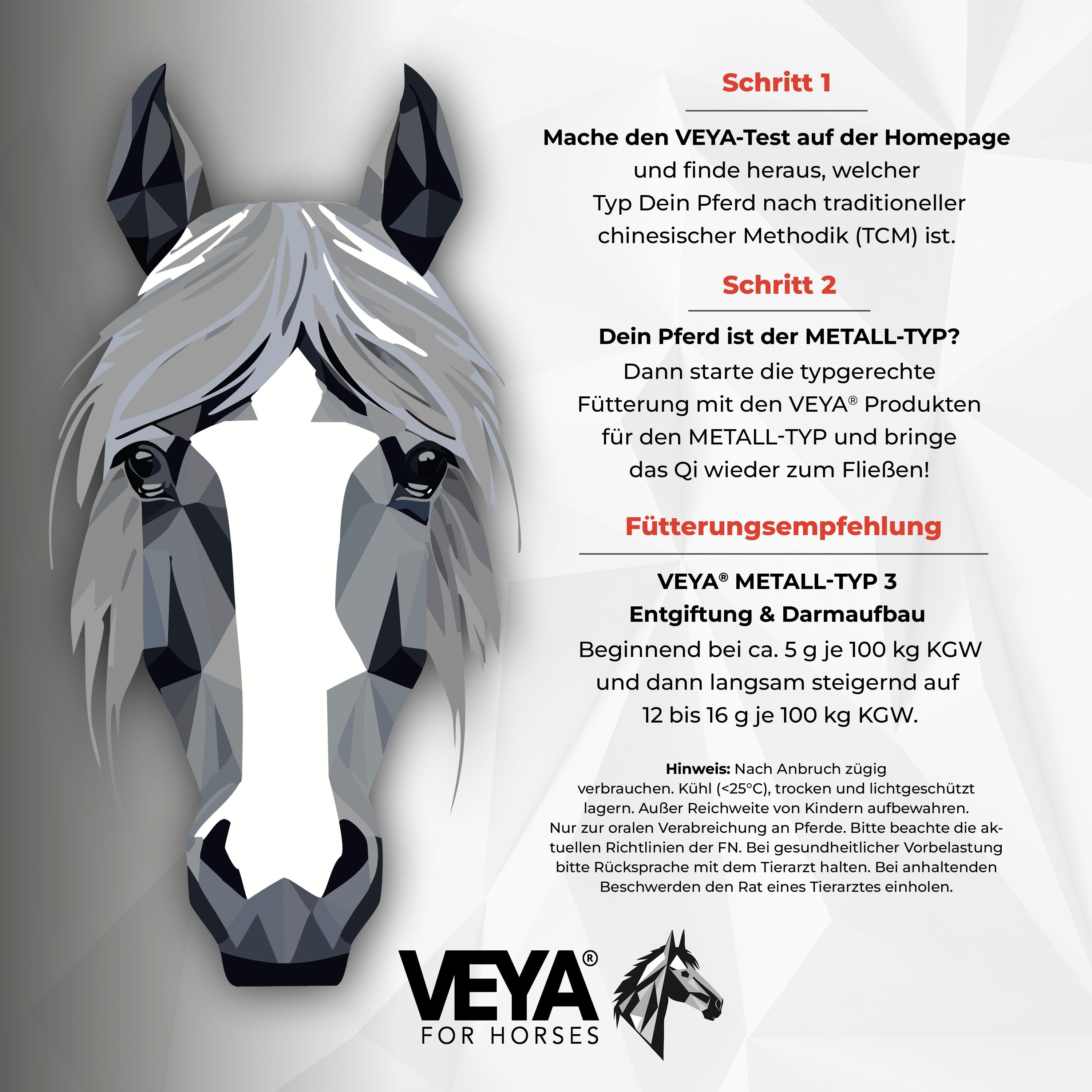 VEYA METALL-TYP 3 Entgiftung & Darmaufbau